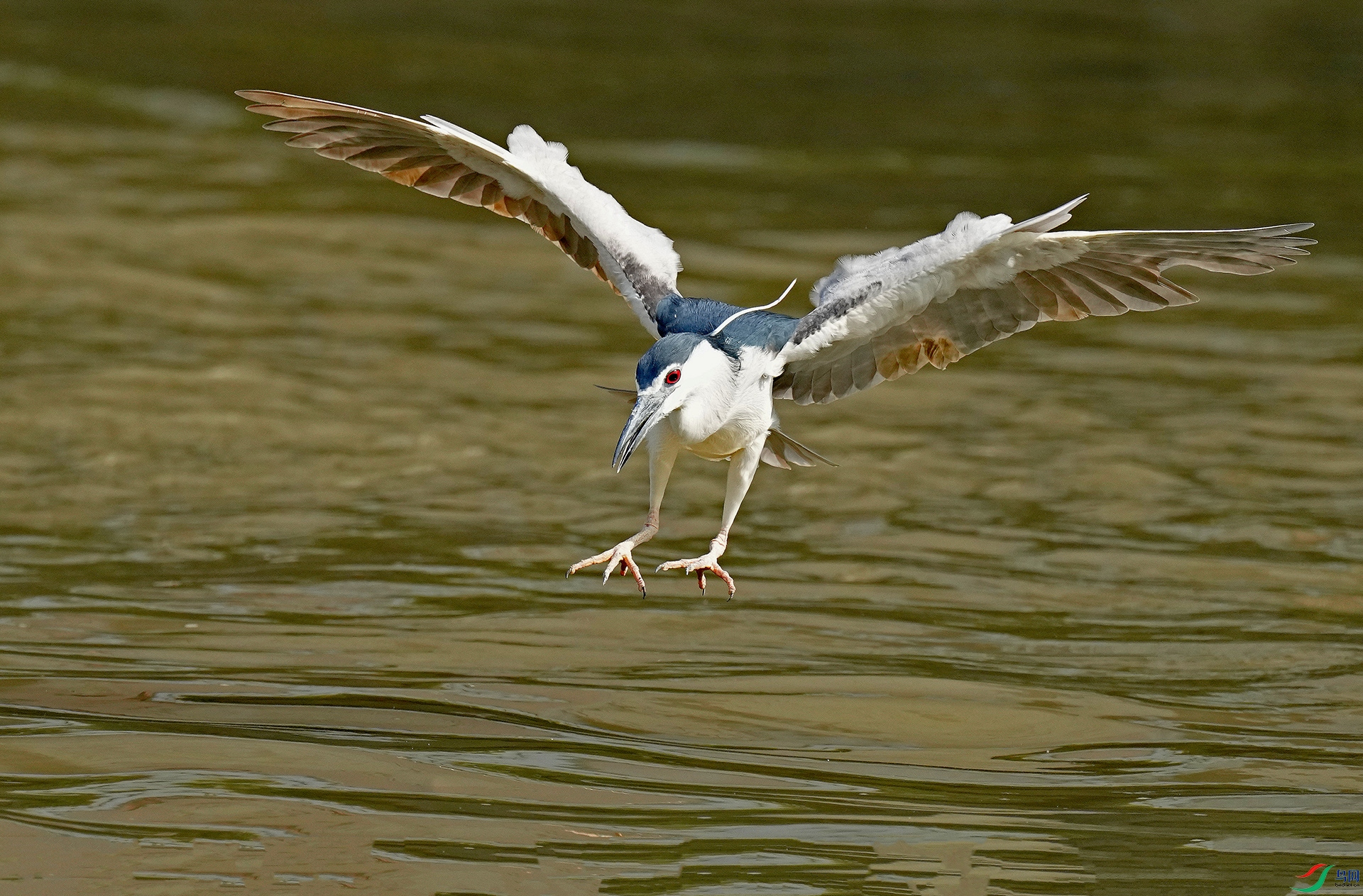 DSC06943--.jpg