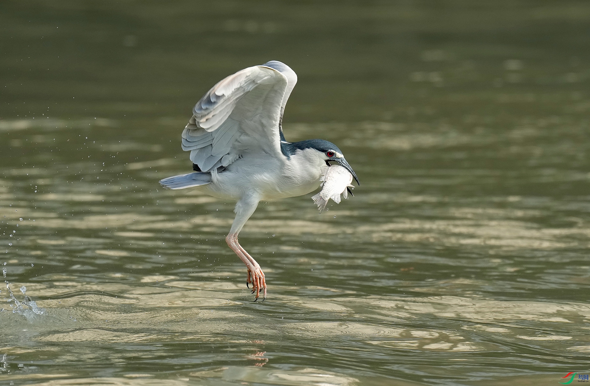 DSC06991--.jpg
