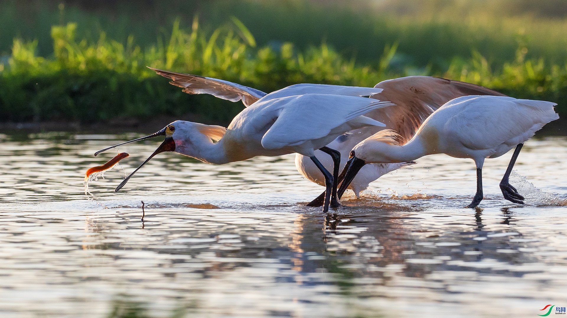 A52I0768_��ͼ��_��ͼ�� ����a.jpg