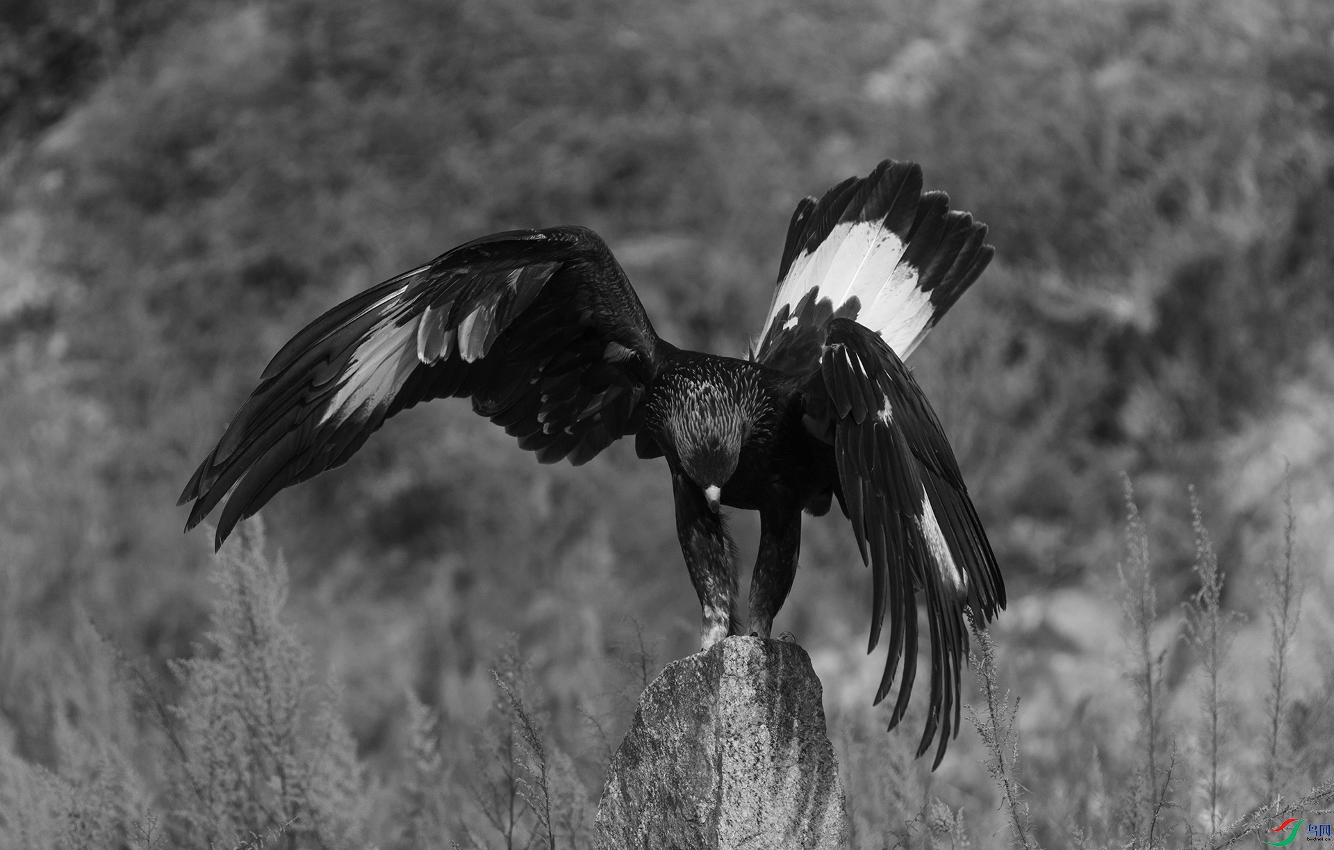 DSC06025 ����.jpg