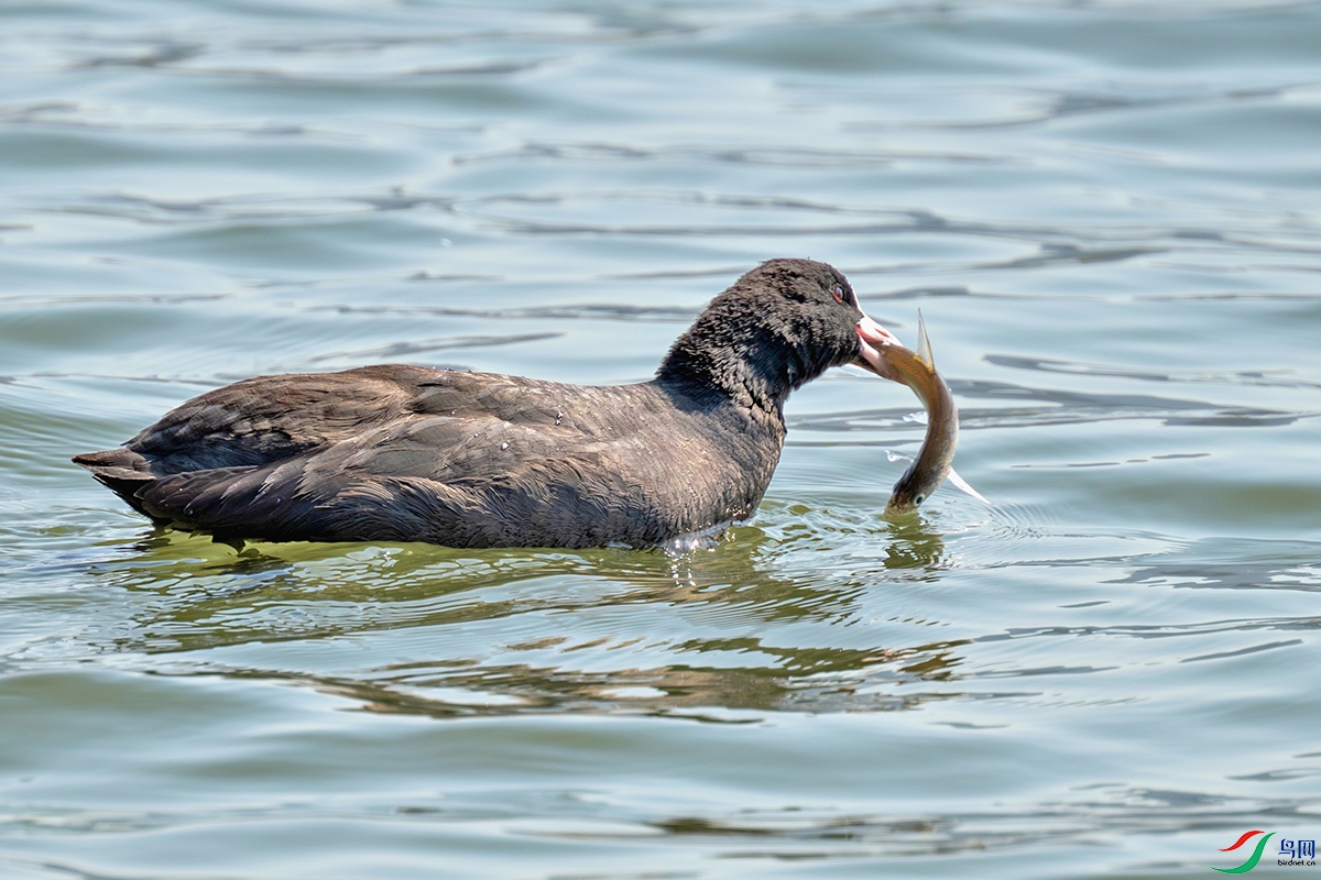 DSC_2152.jpg