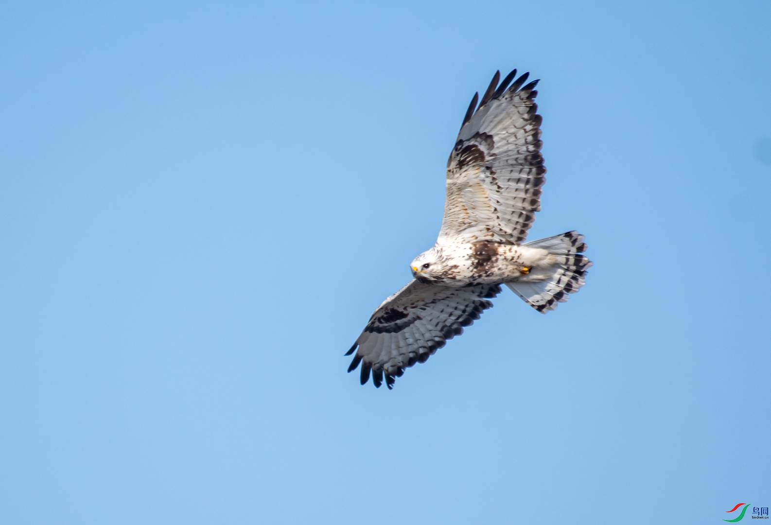 DSC_2716.jpg