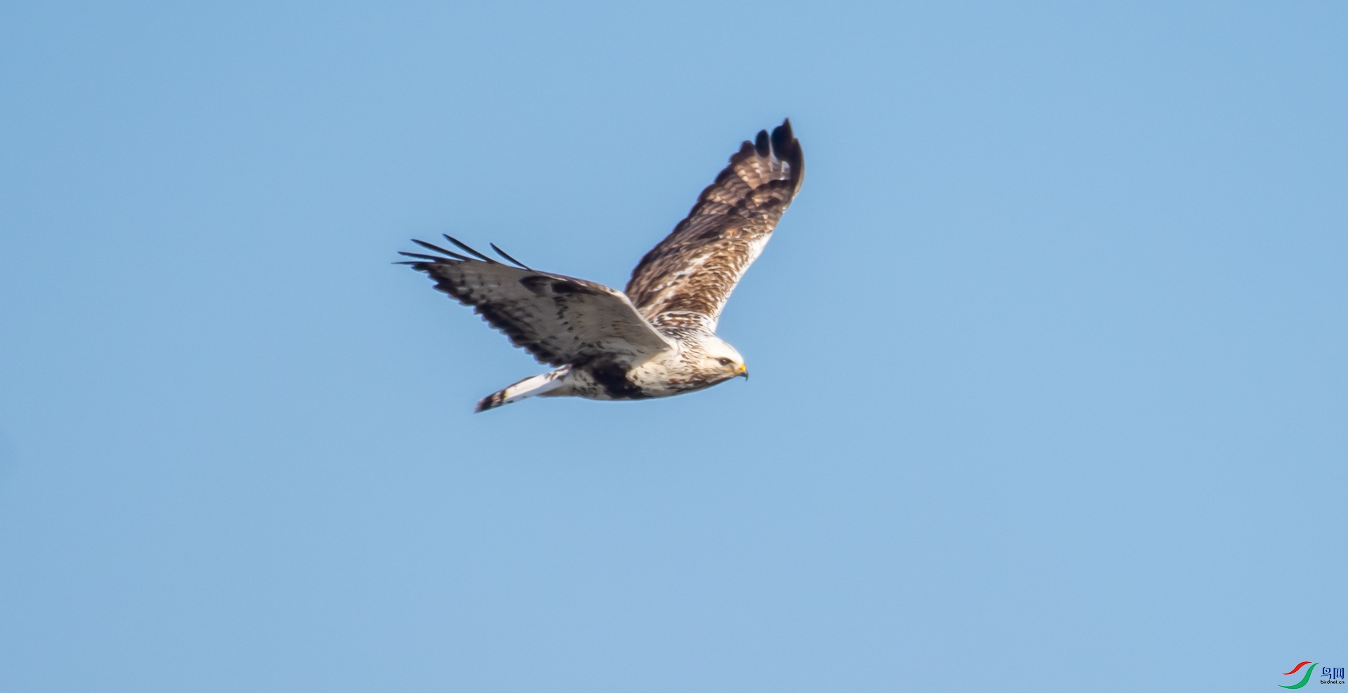 DSC_2769.jpg