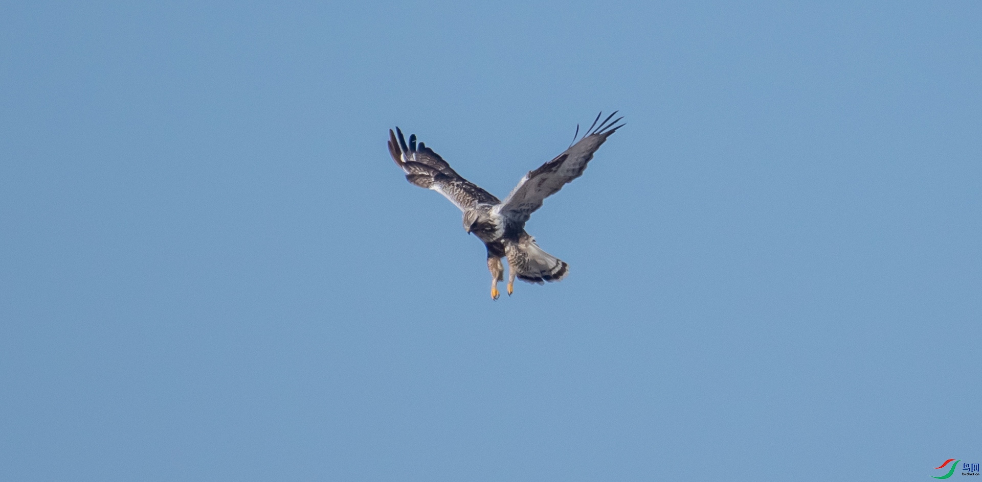 DSC_2862.jpg
