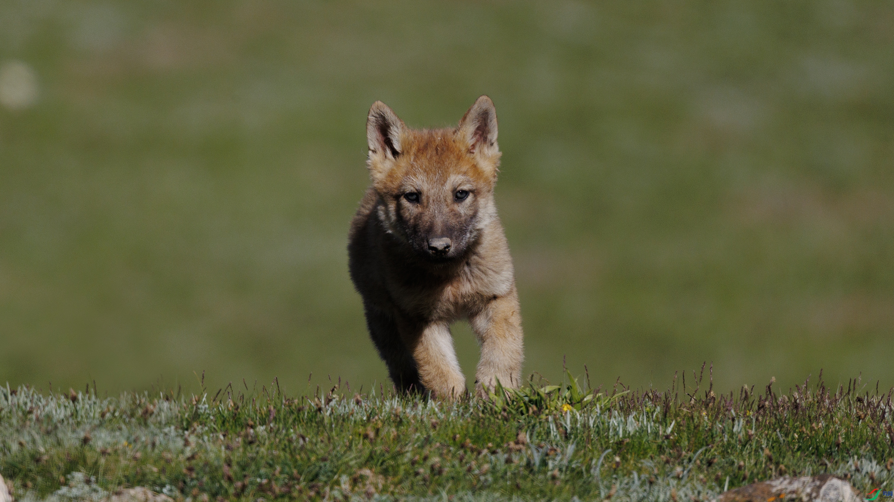 7X5A7289 ����4444.jpg