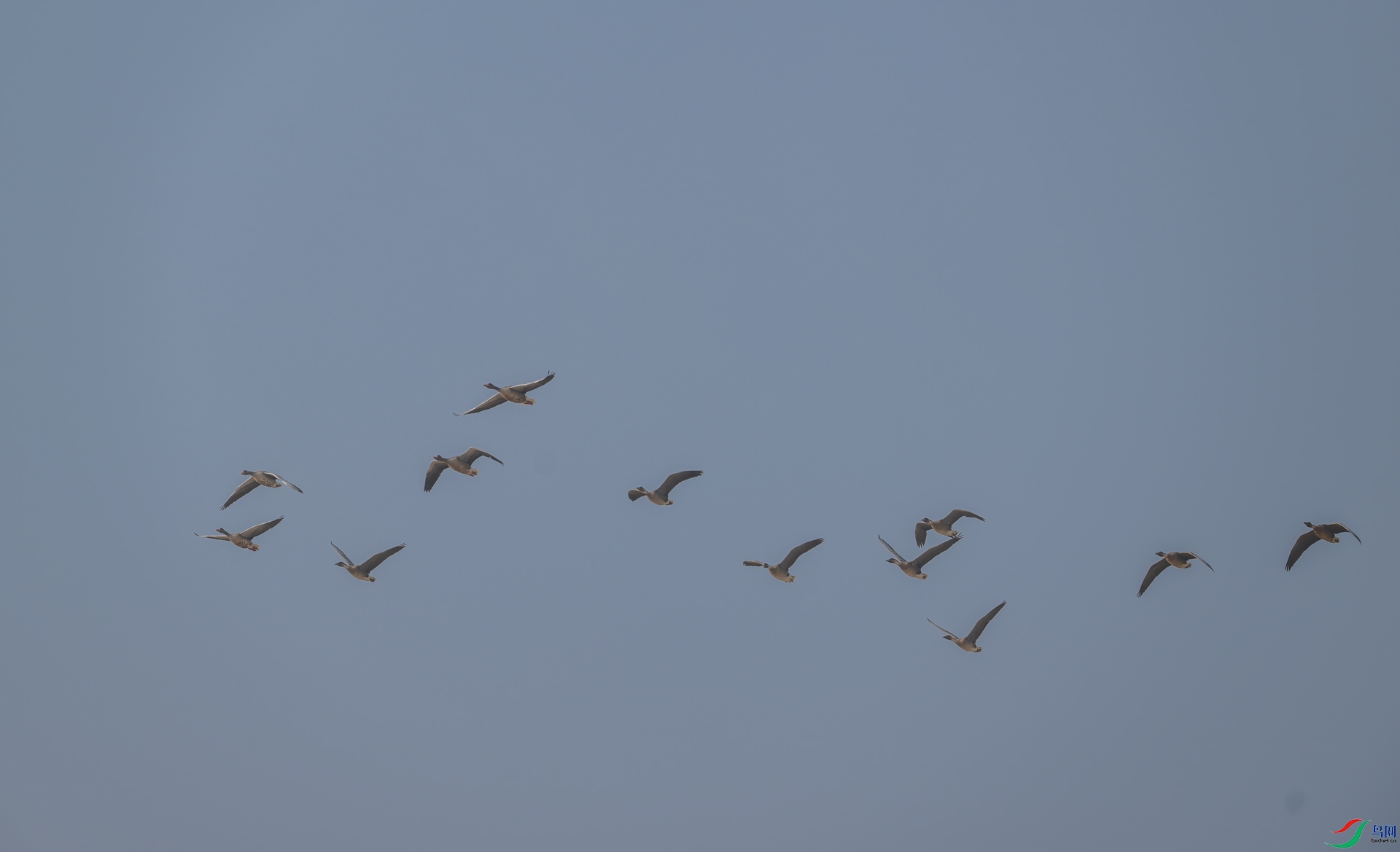 DSC_0556-1.jpg