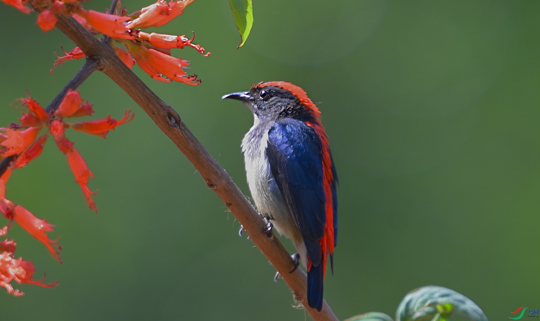 {BBF4C5A9-F40E-460F-B491-F4453BE3F846} ����.jpg