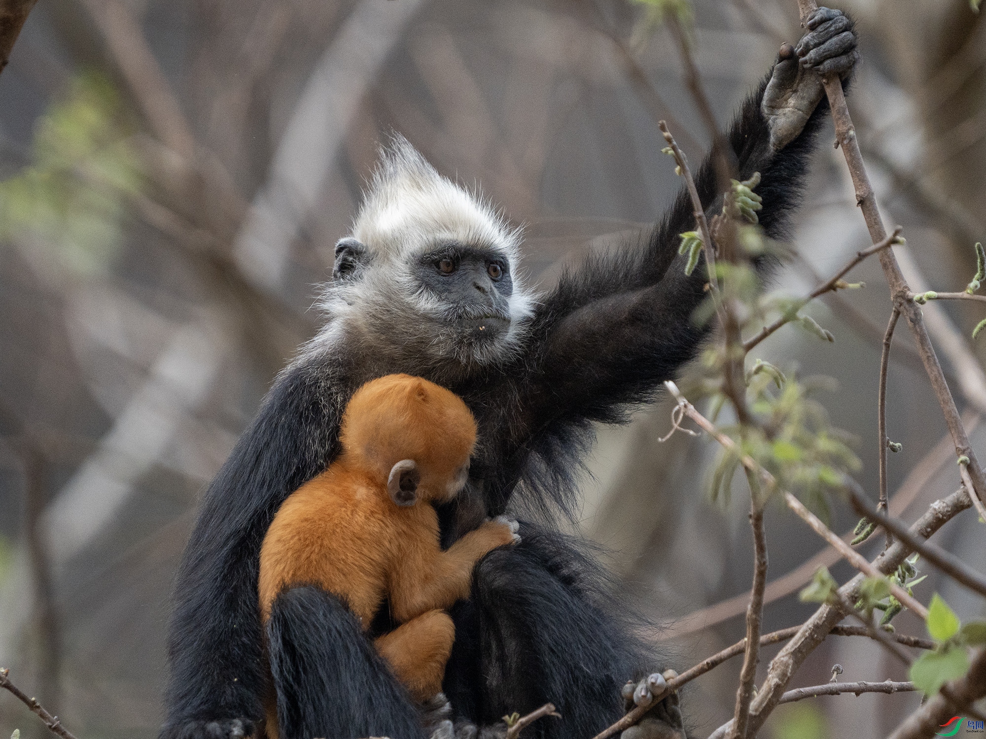 DSC04089 ����11.jpg