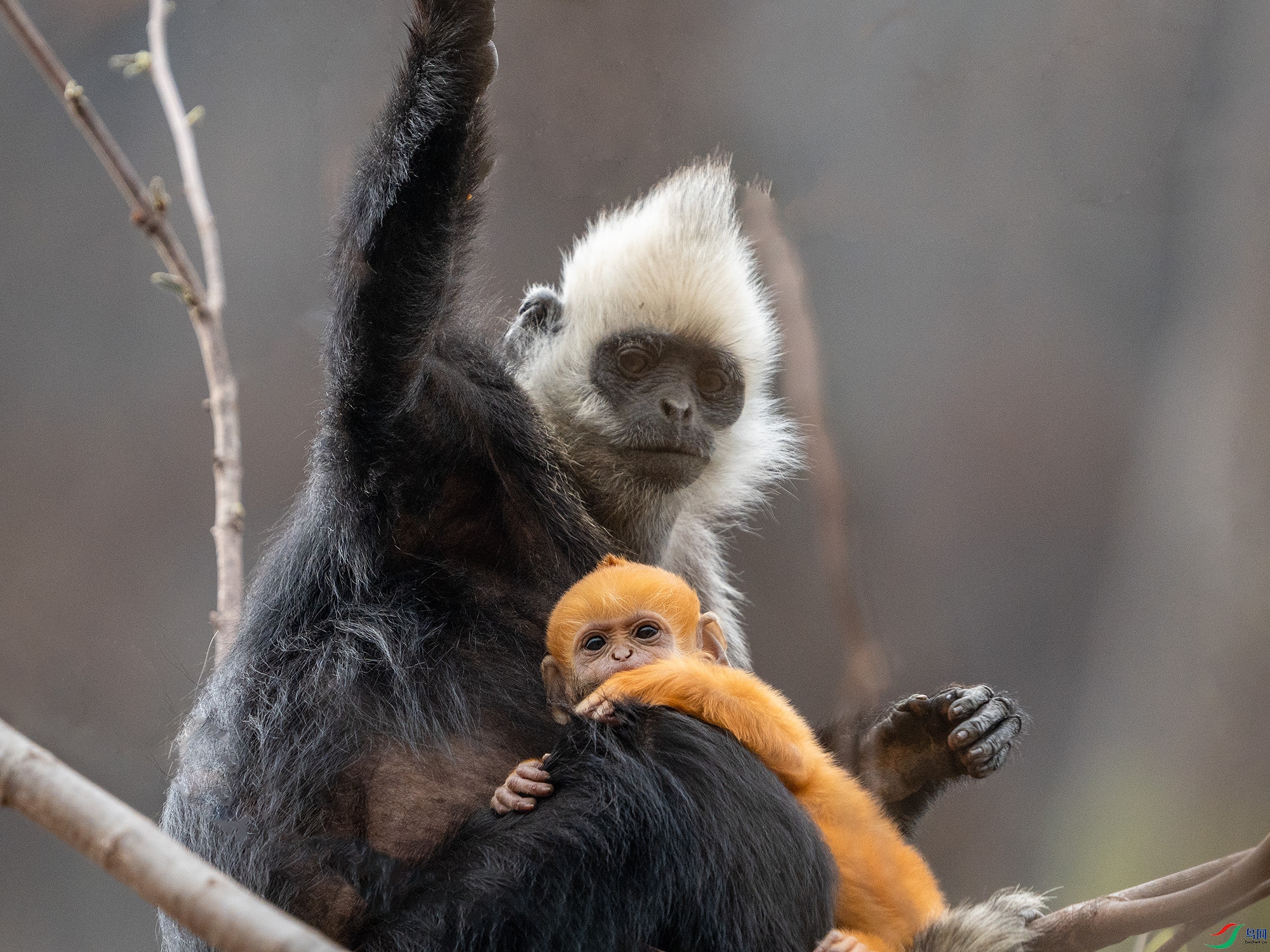 DSC04262 ����11.jpg