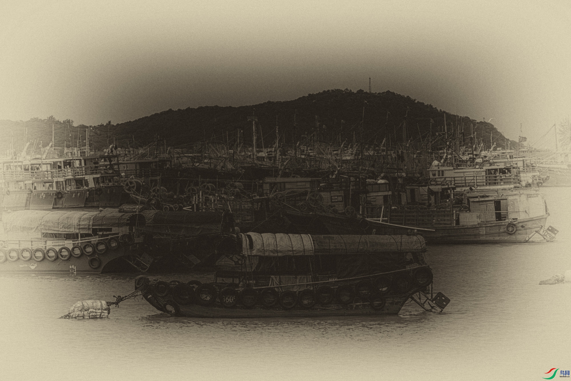 DSC_8438-����ǿ-NR ����_1.jpg