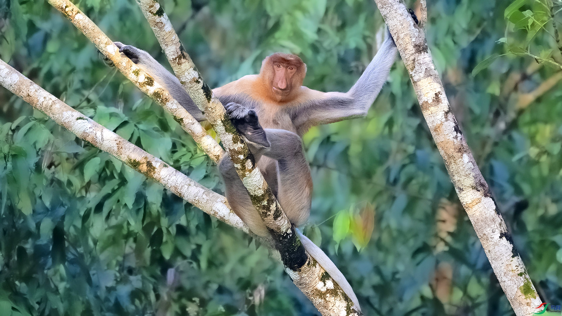 DSC_2519.jpg