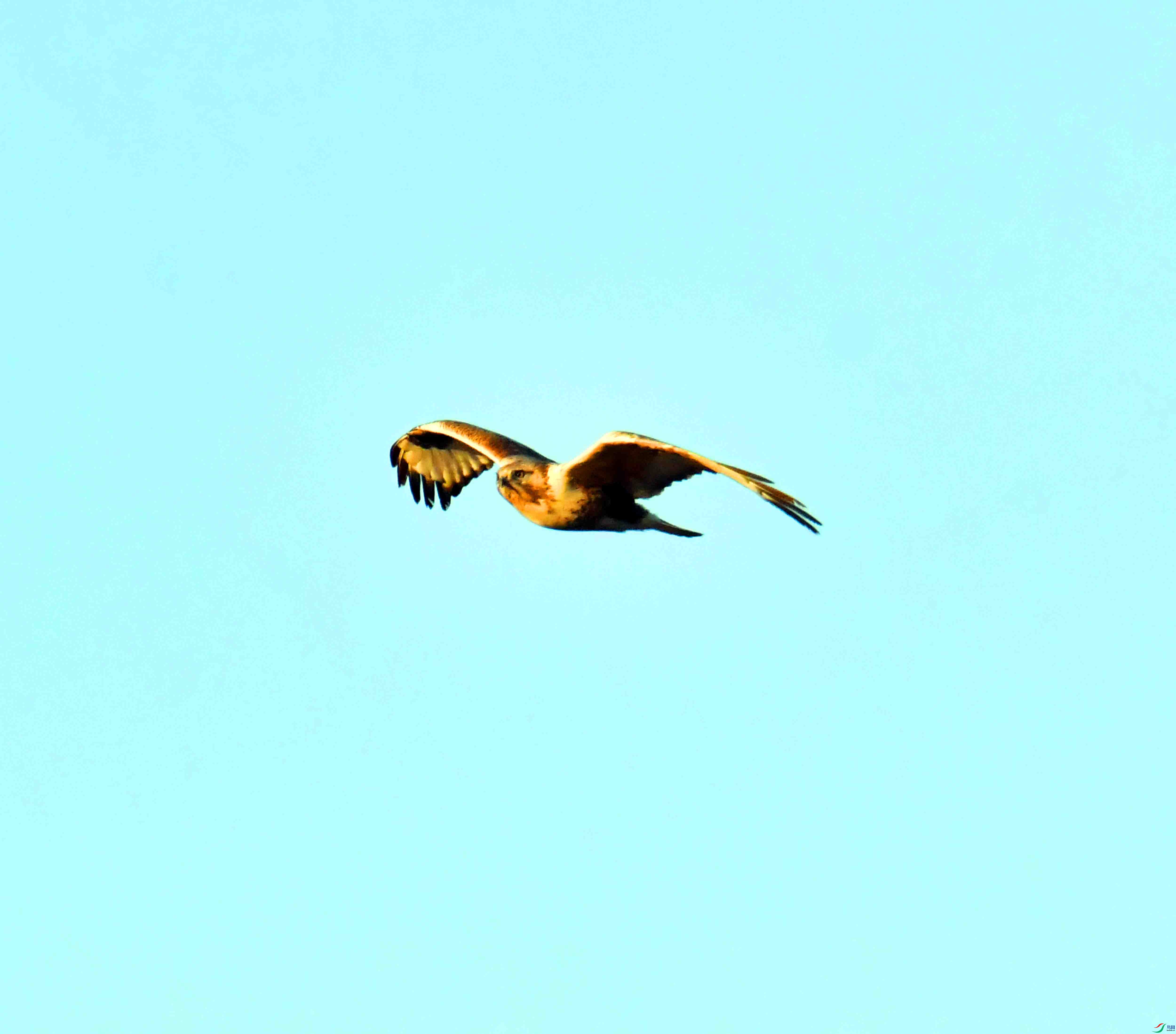 DSC_0327.JPG