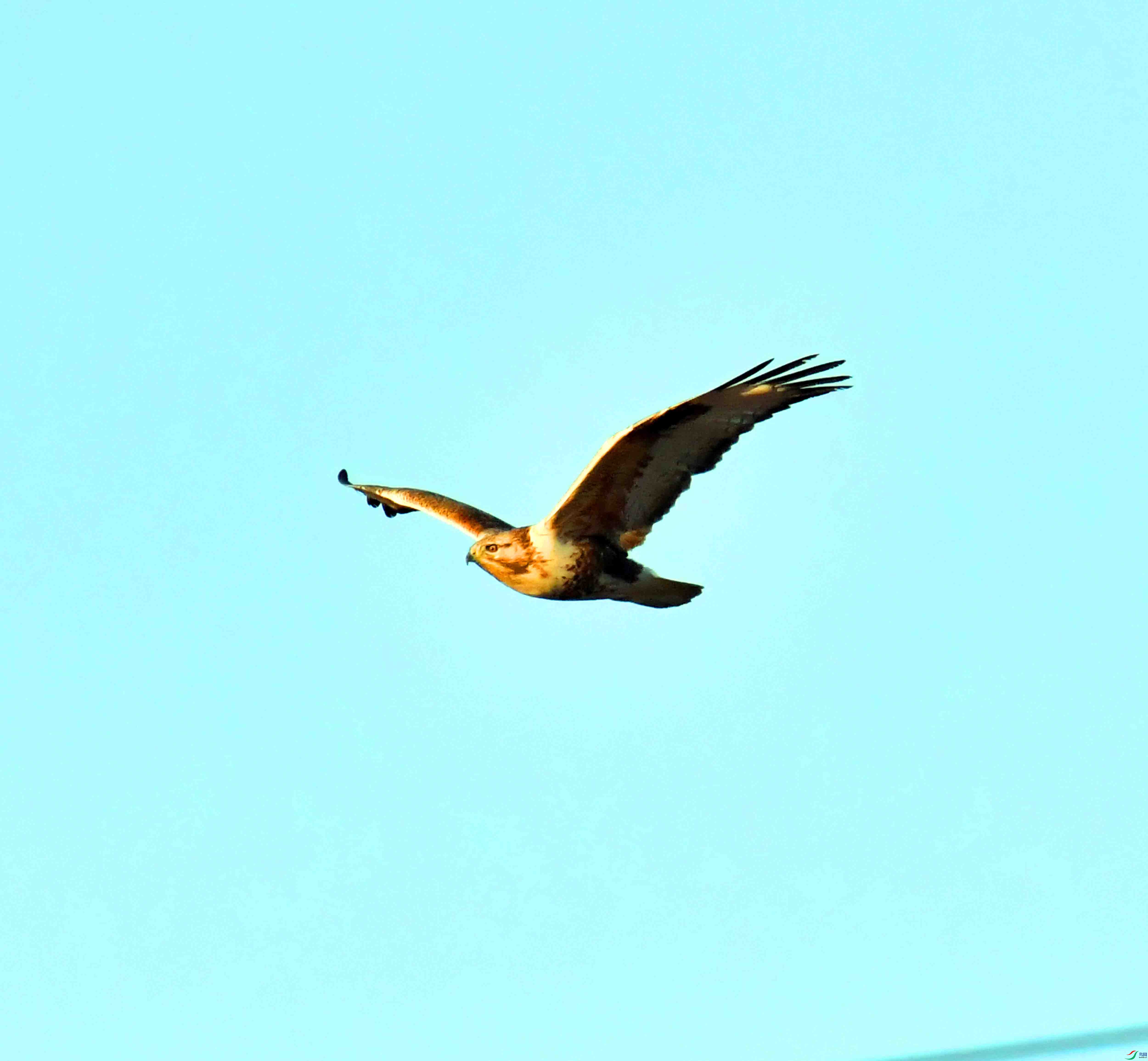 DSC_0326.JPG