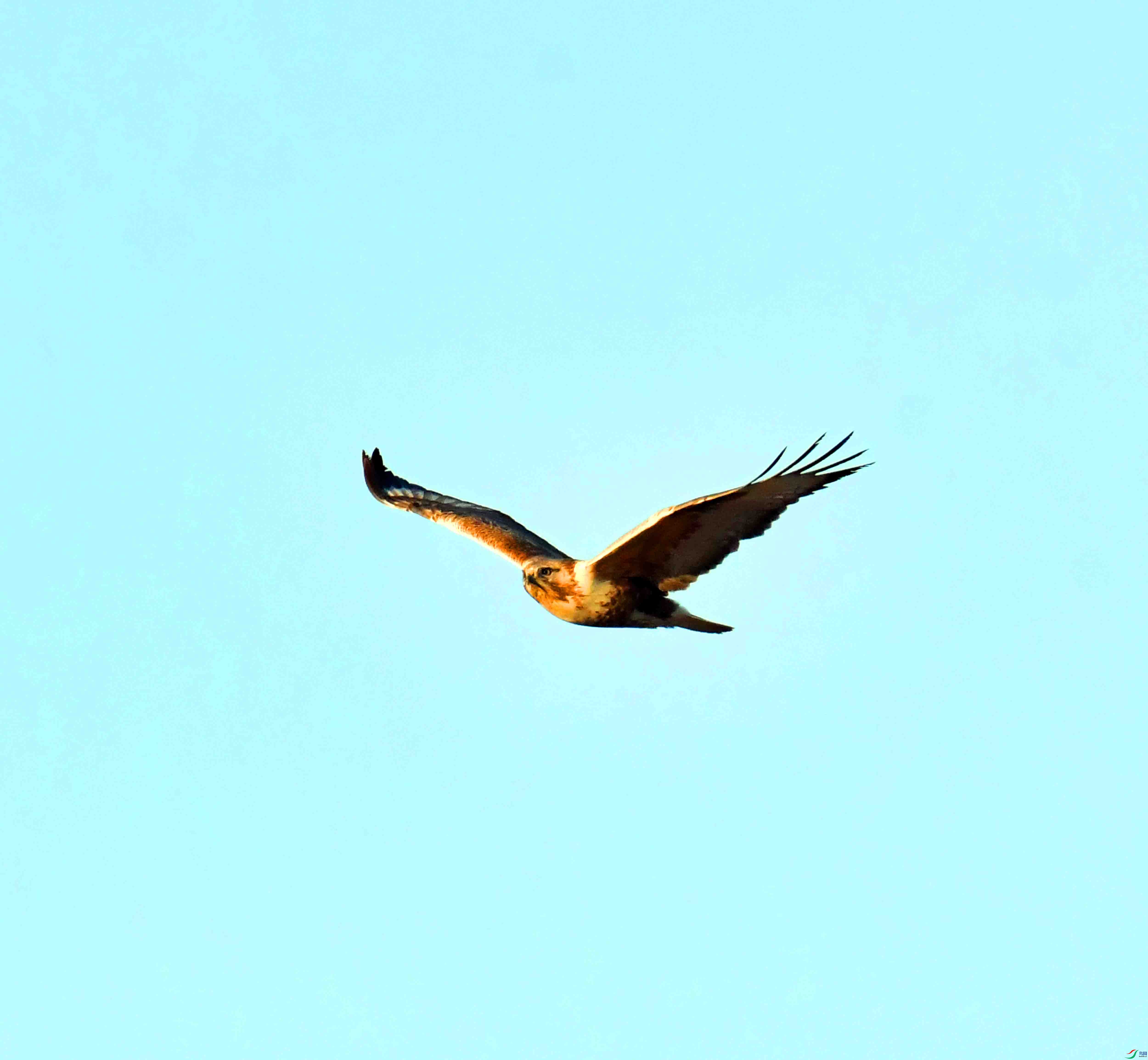 DSC_0328.JPG