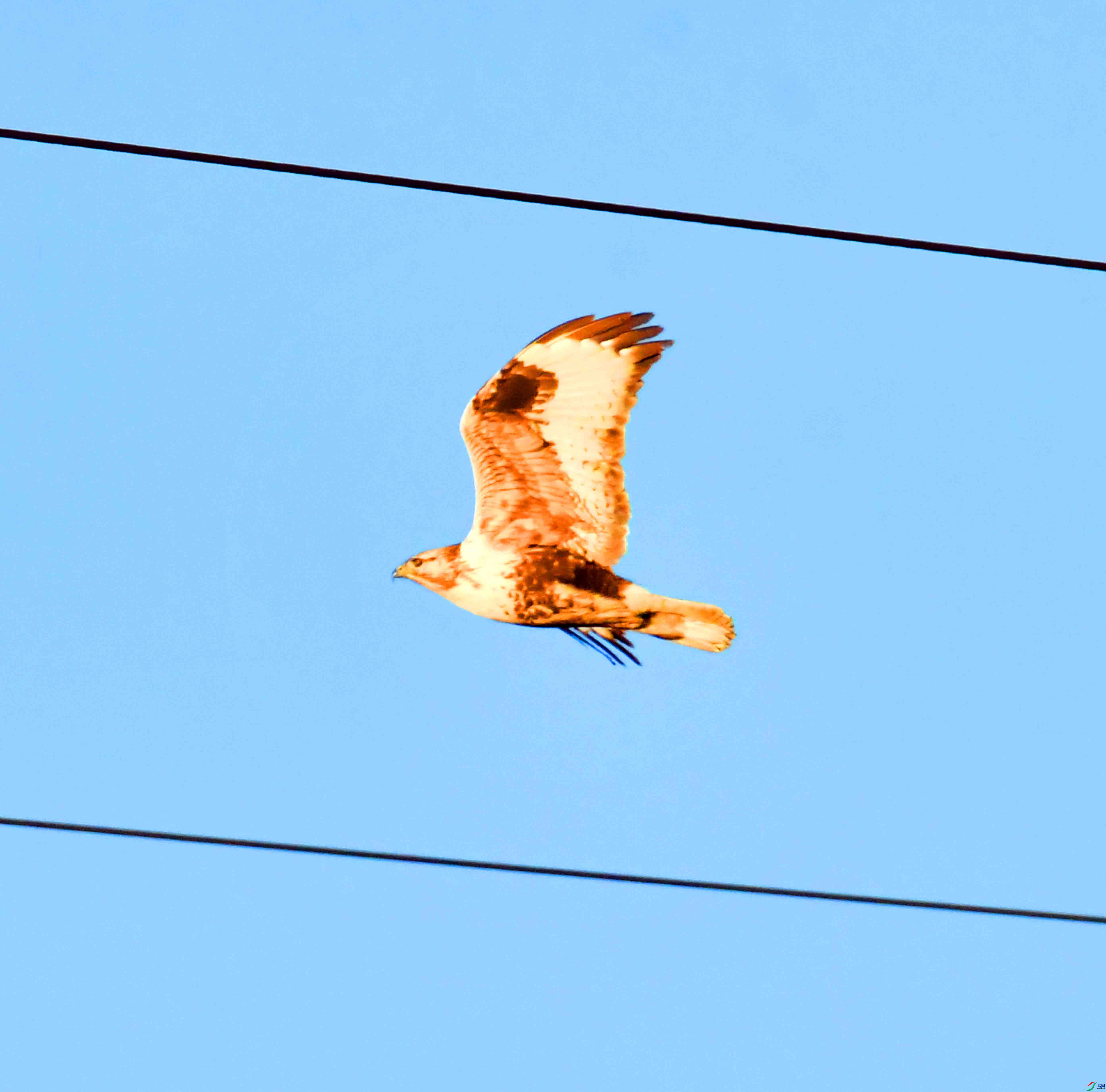 DSC_0336.JPG