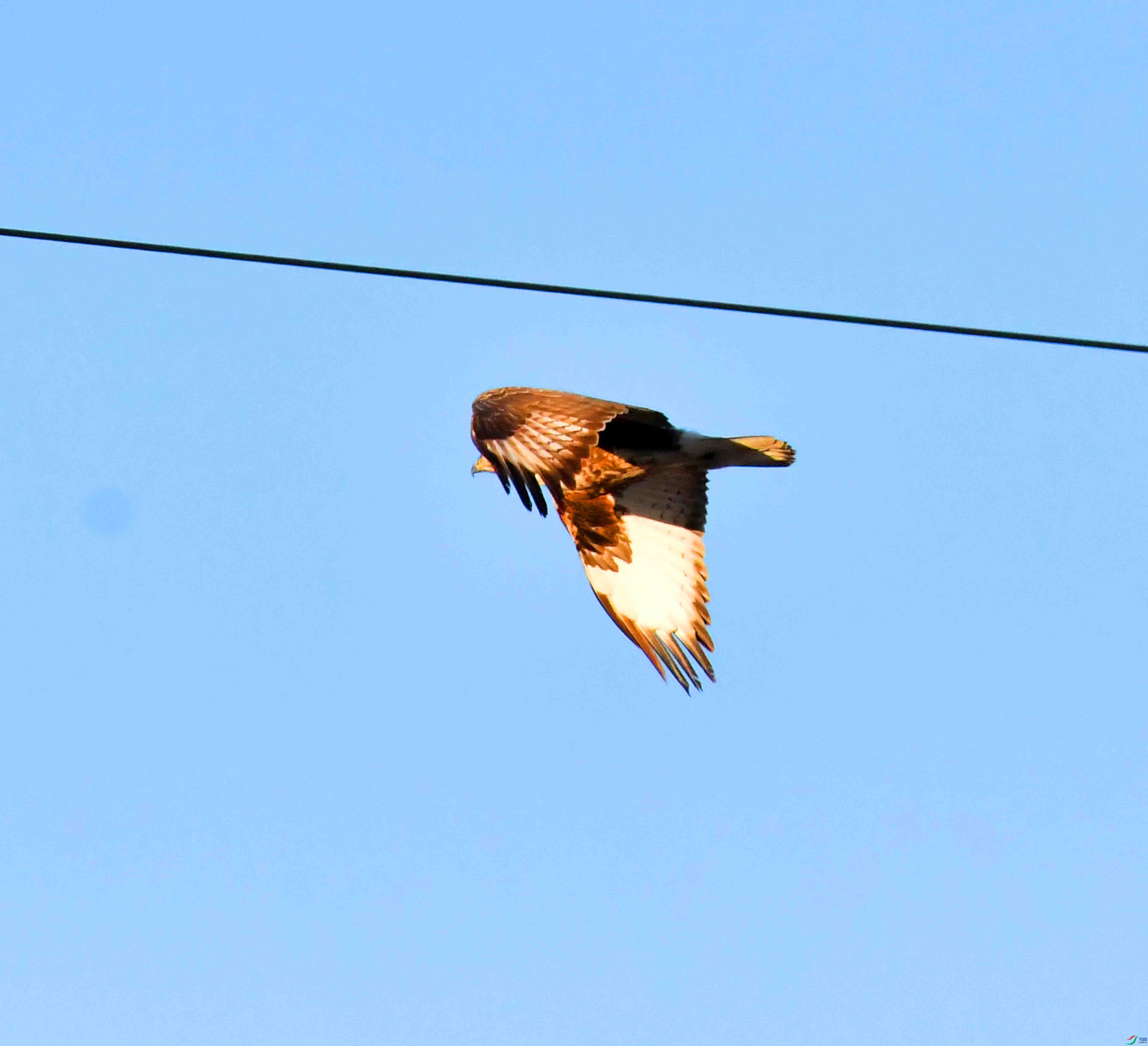 DSC_0338.JPG