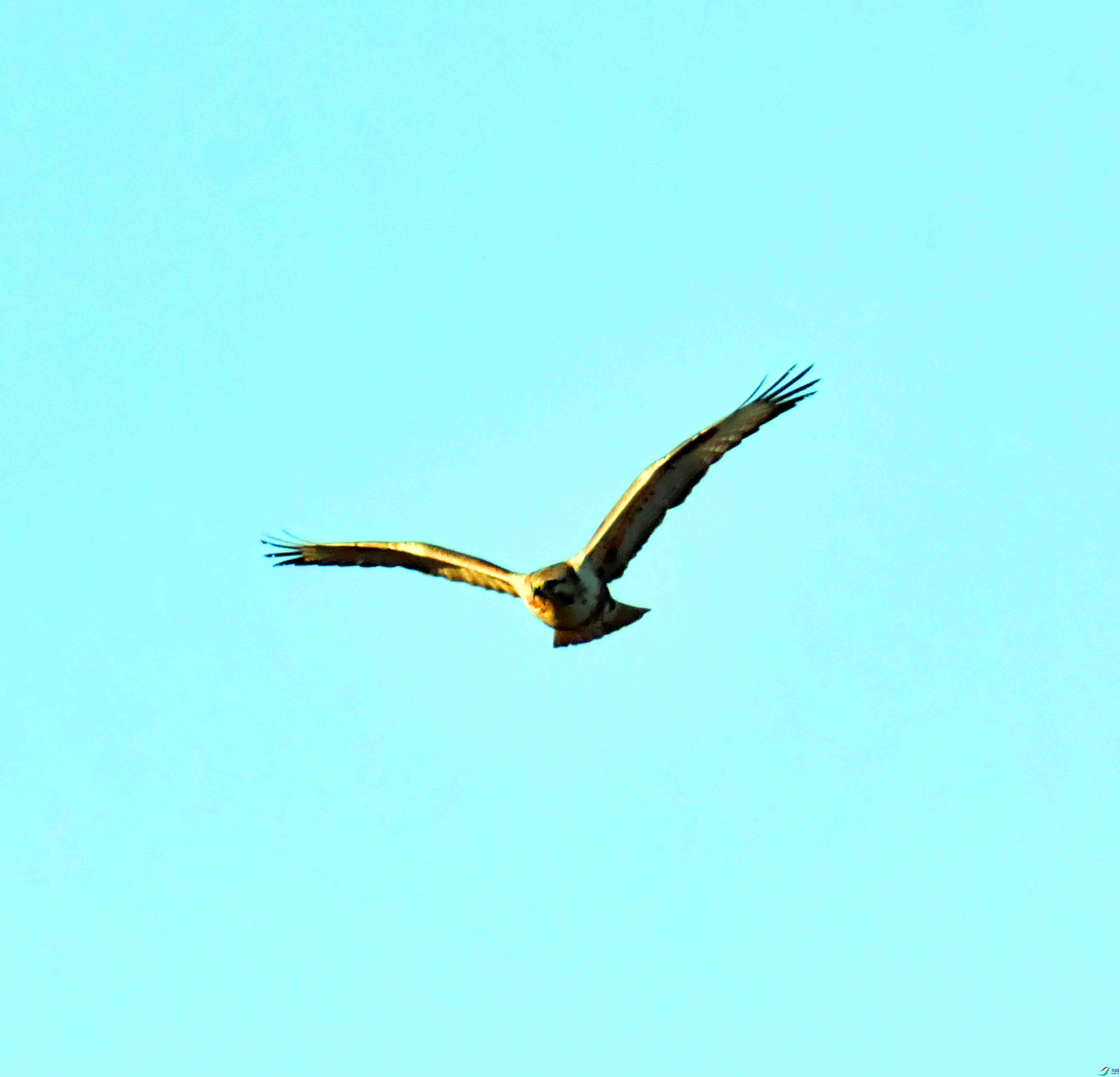 DSC_0351.JPG