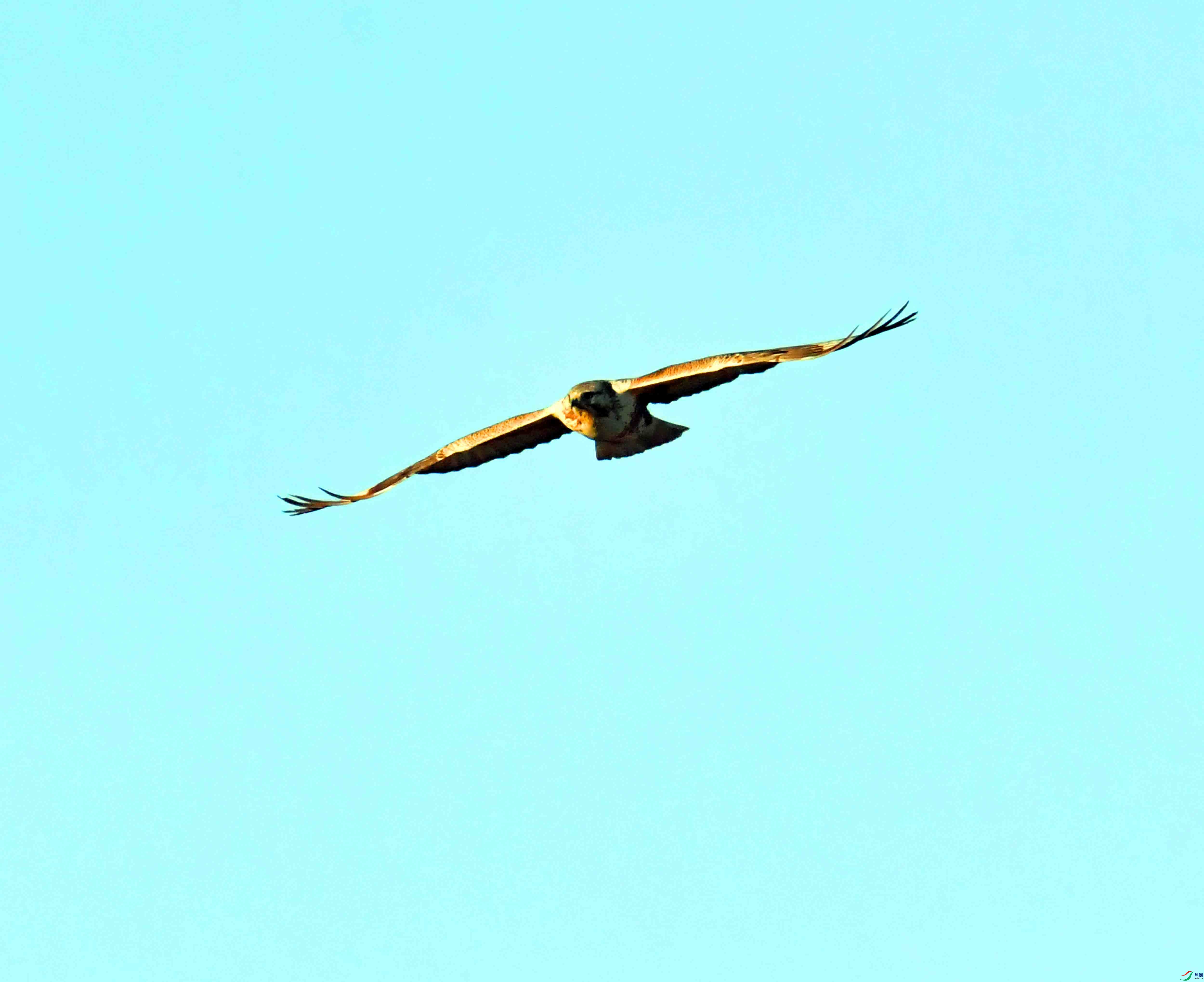 DSC_0352.JPG