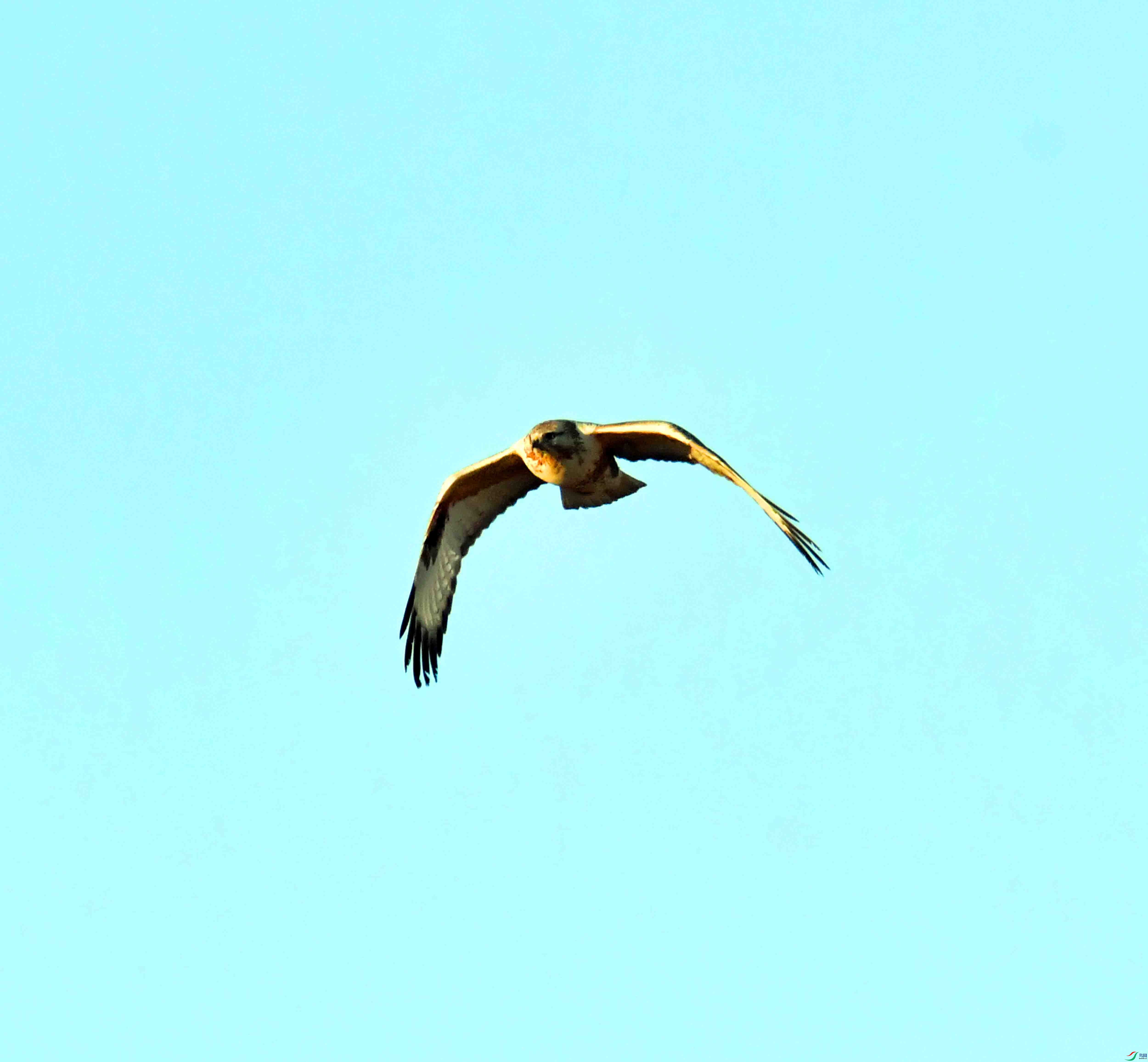 DSC_0353.JPG