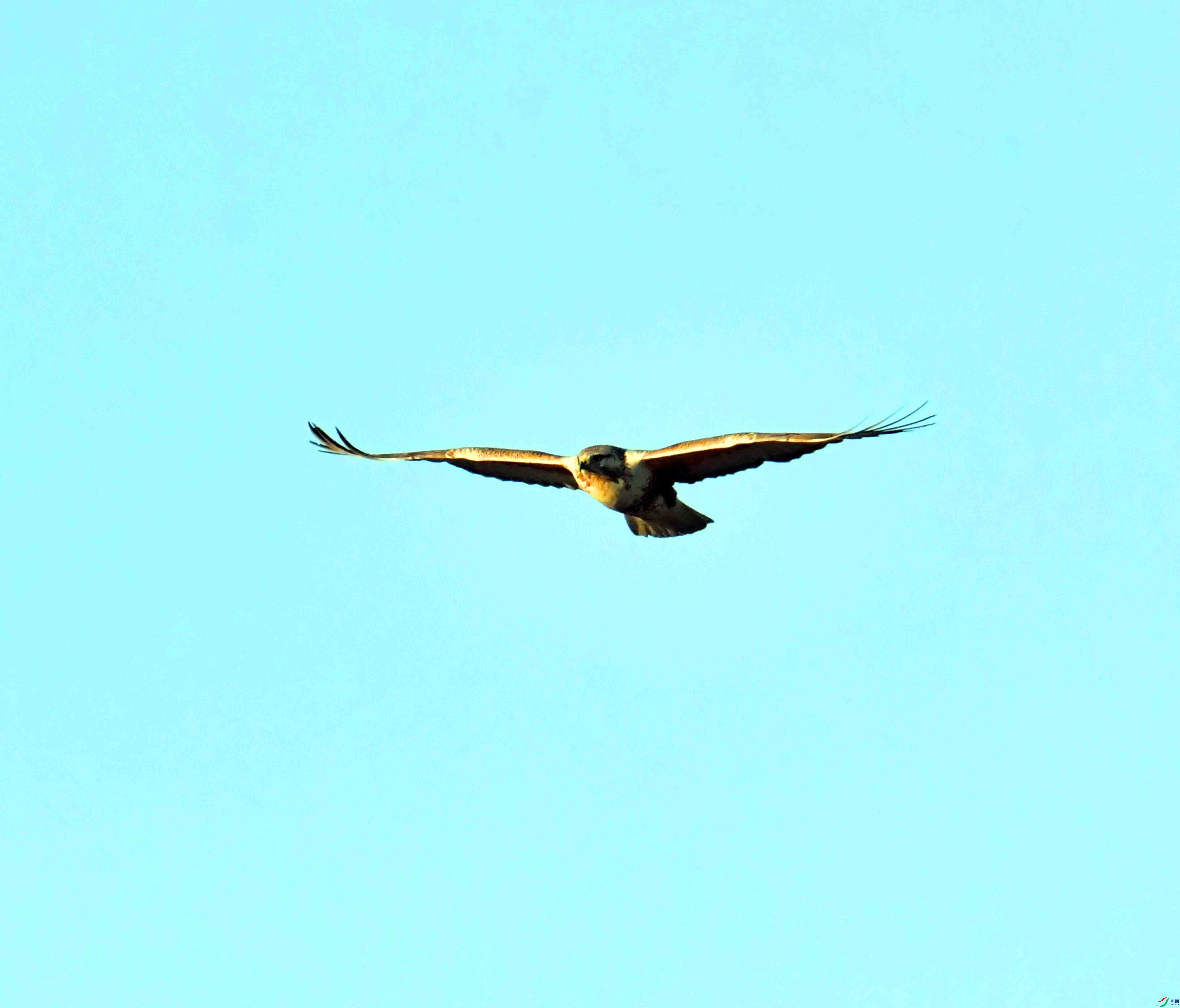 DSC_0354.JPG