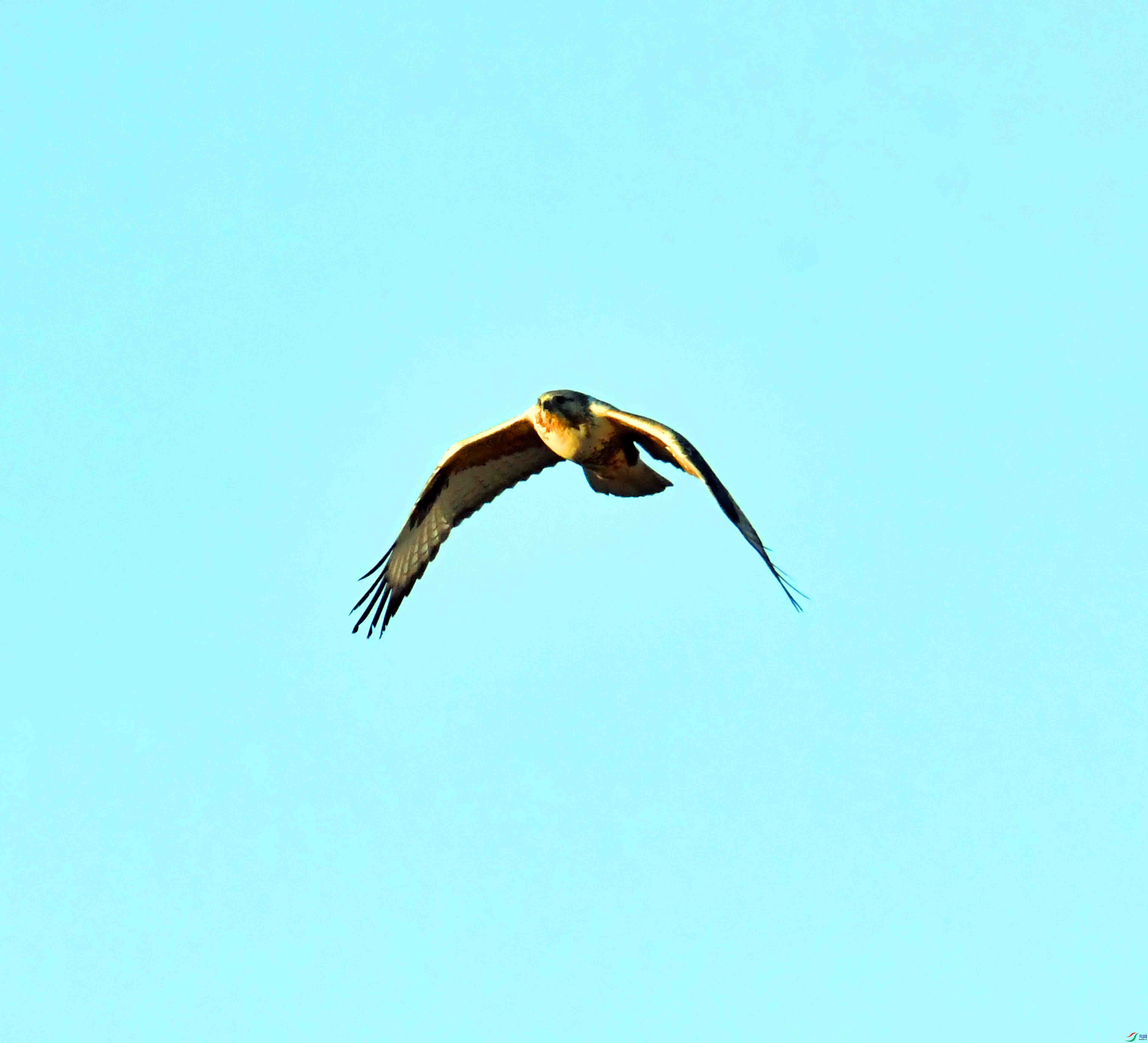 DSC_0355.JPG