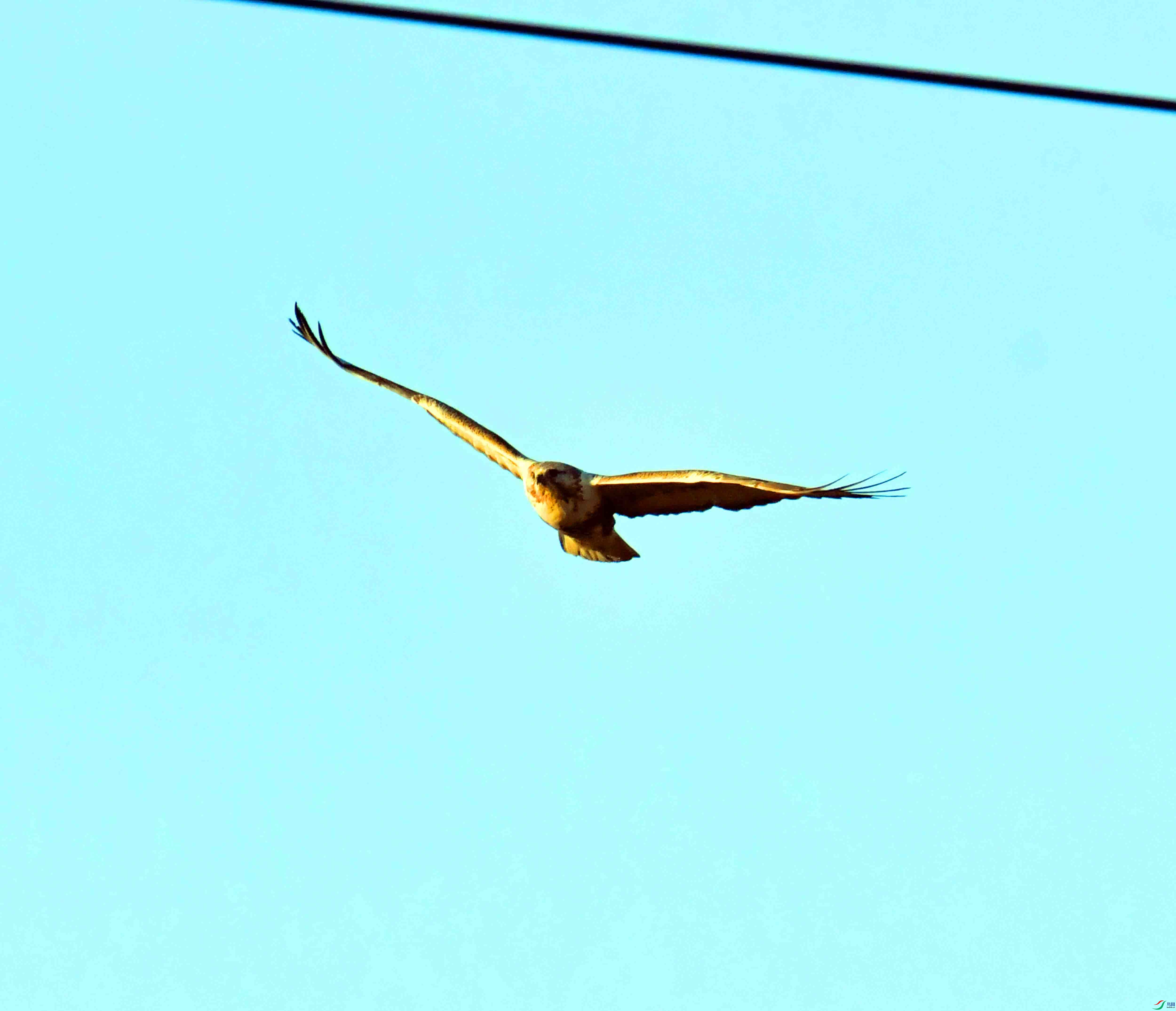 DSC_0356.JPG