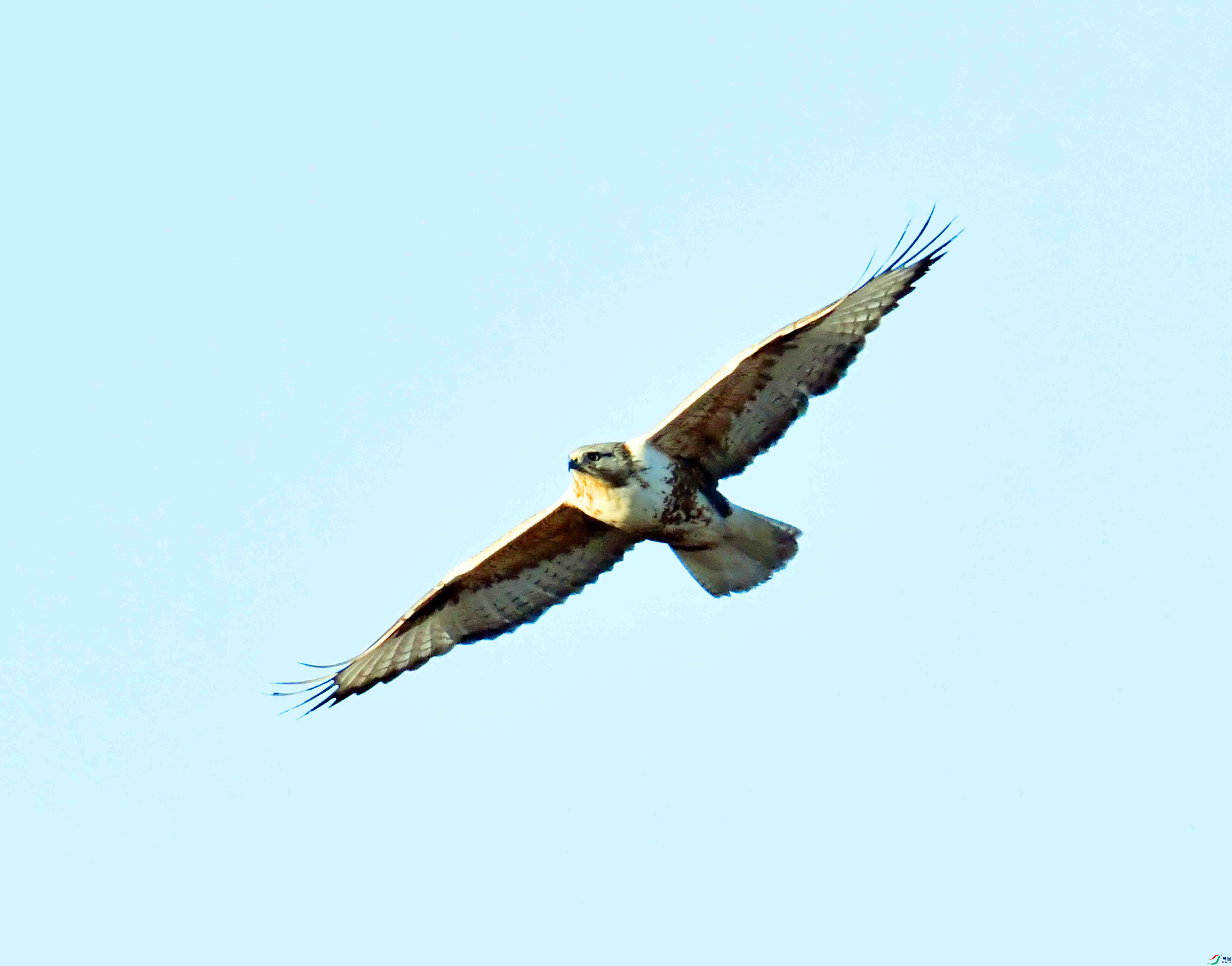 DSC_0368.JPG