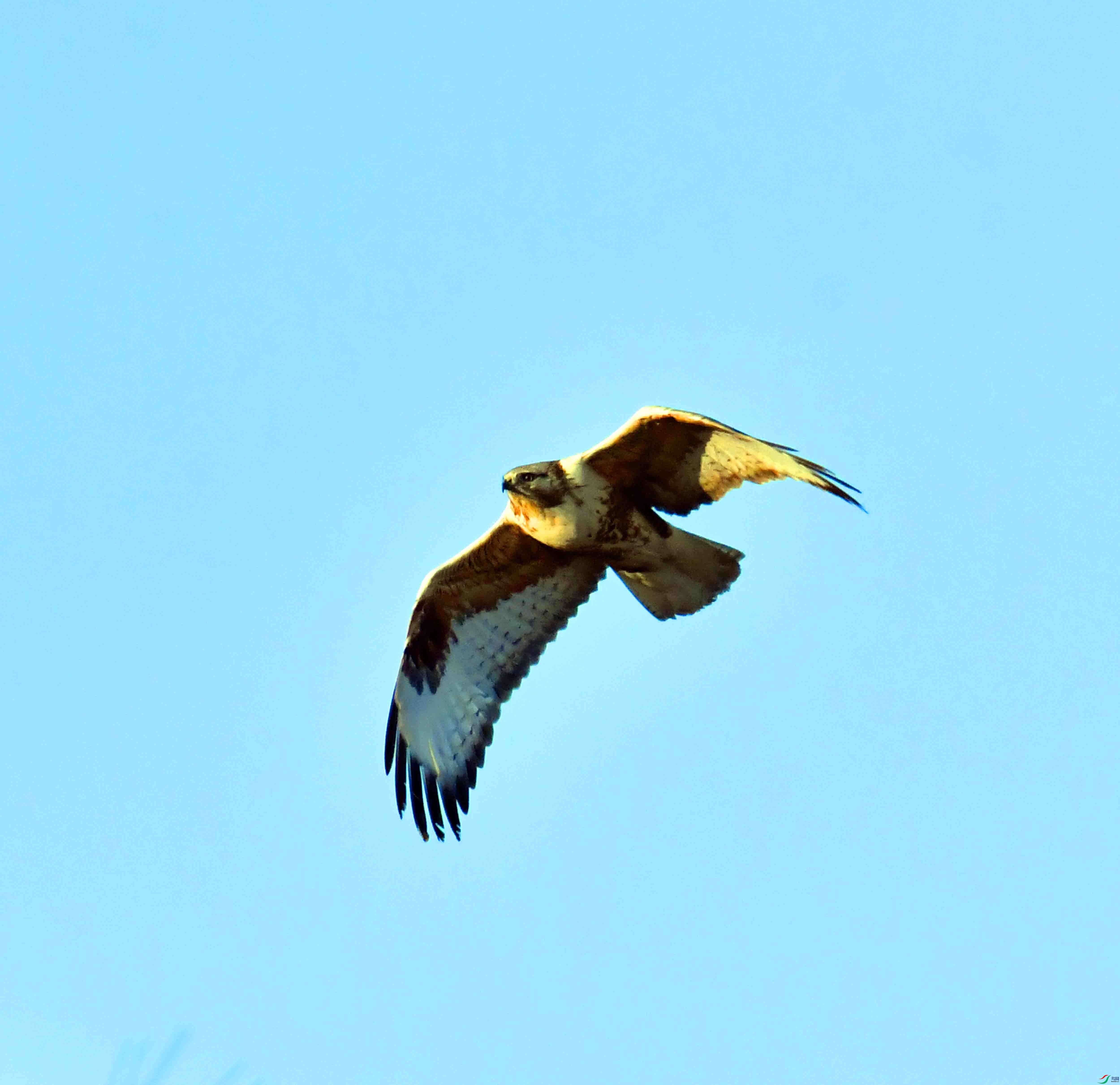 DSC_0369.JPG