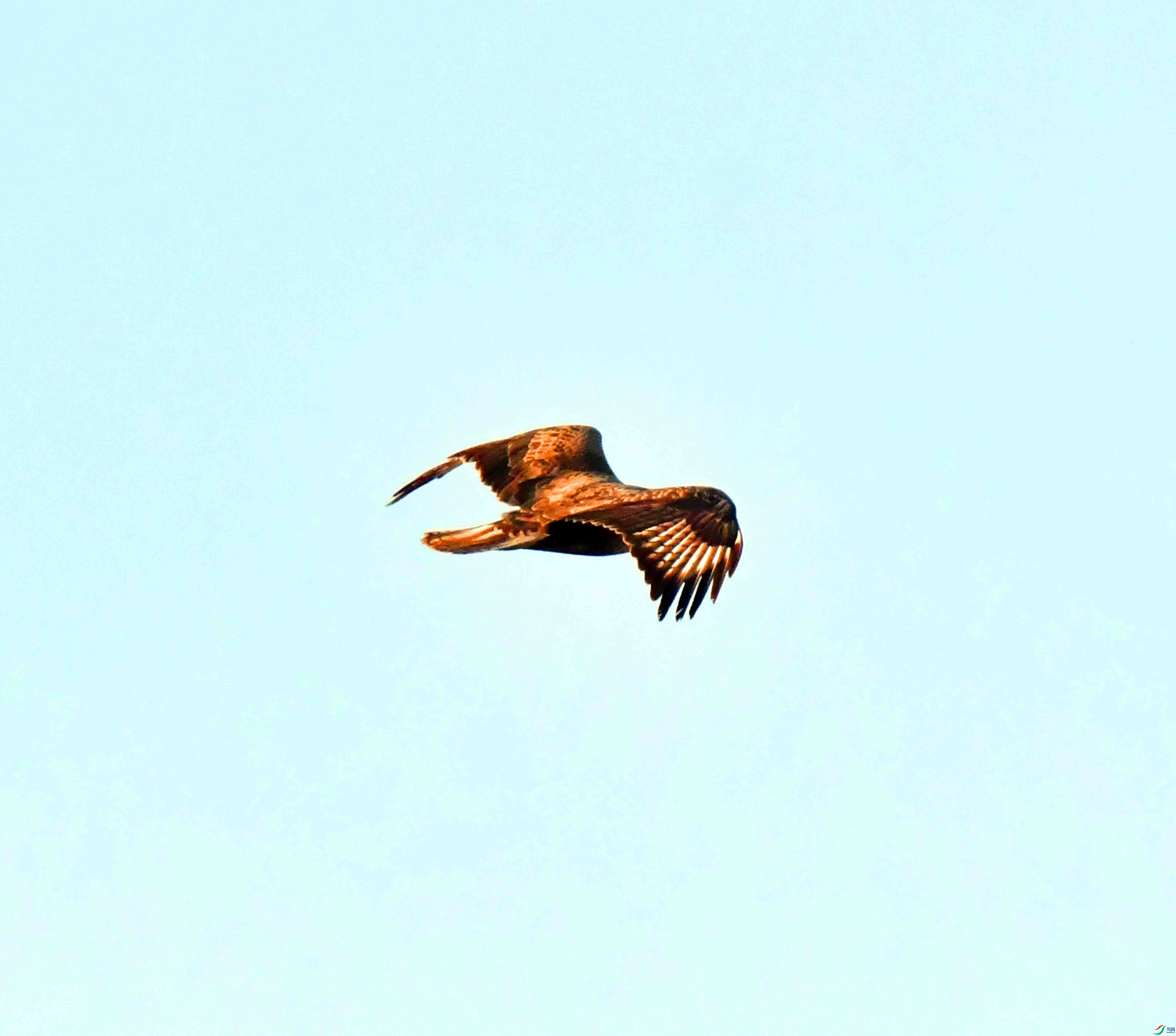 DSC_0373.JPG