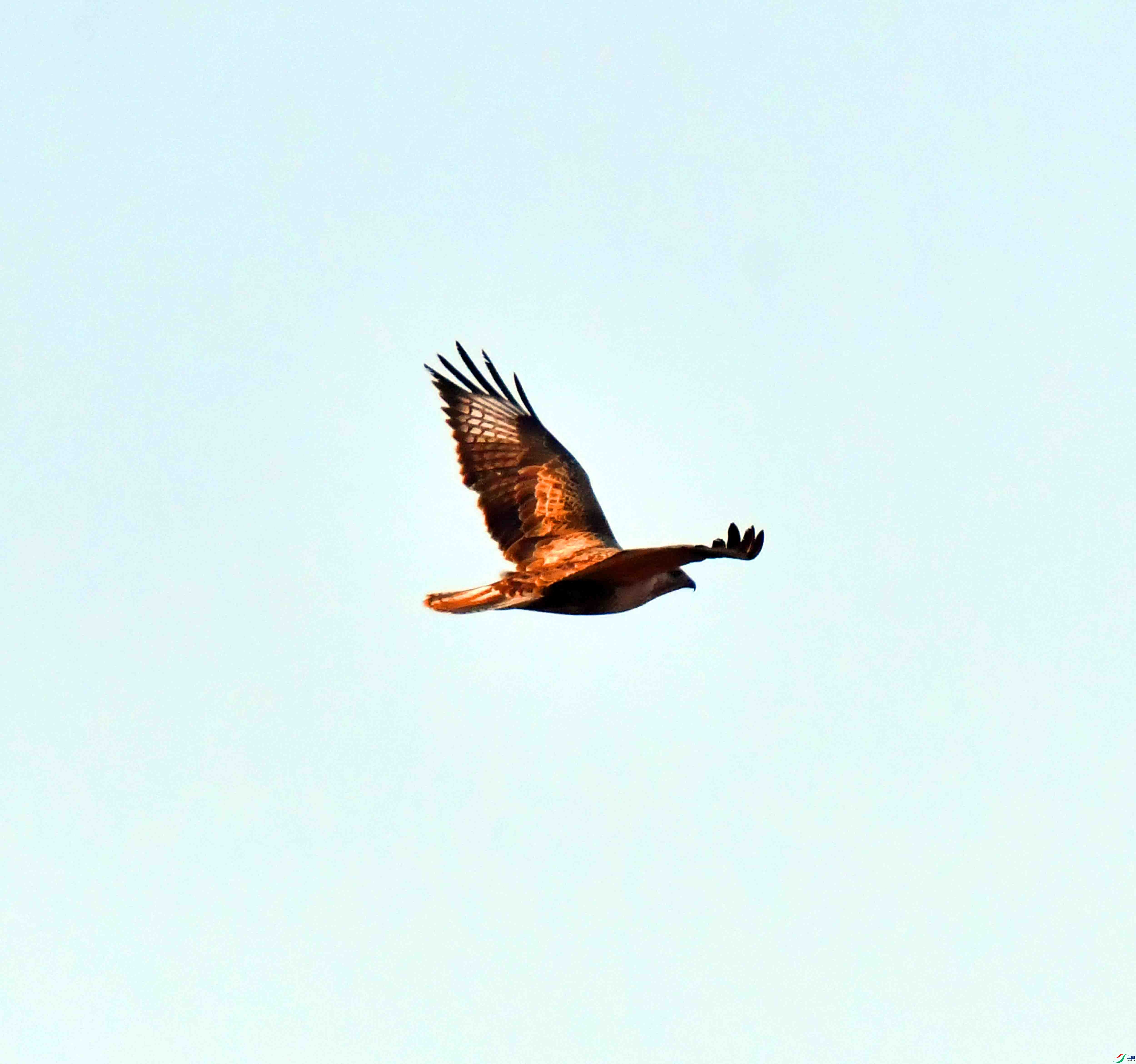 DSC_0374.JPG