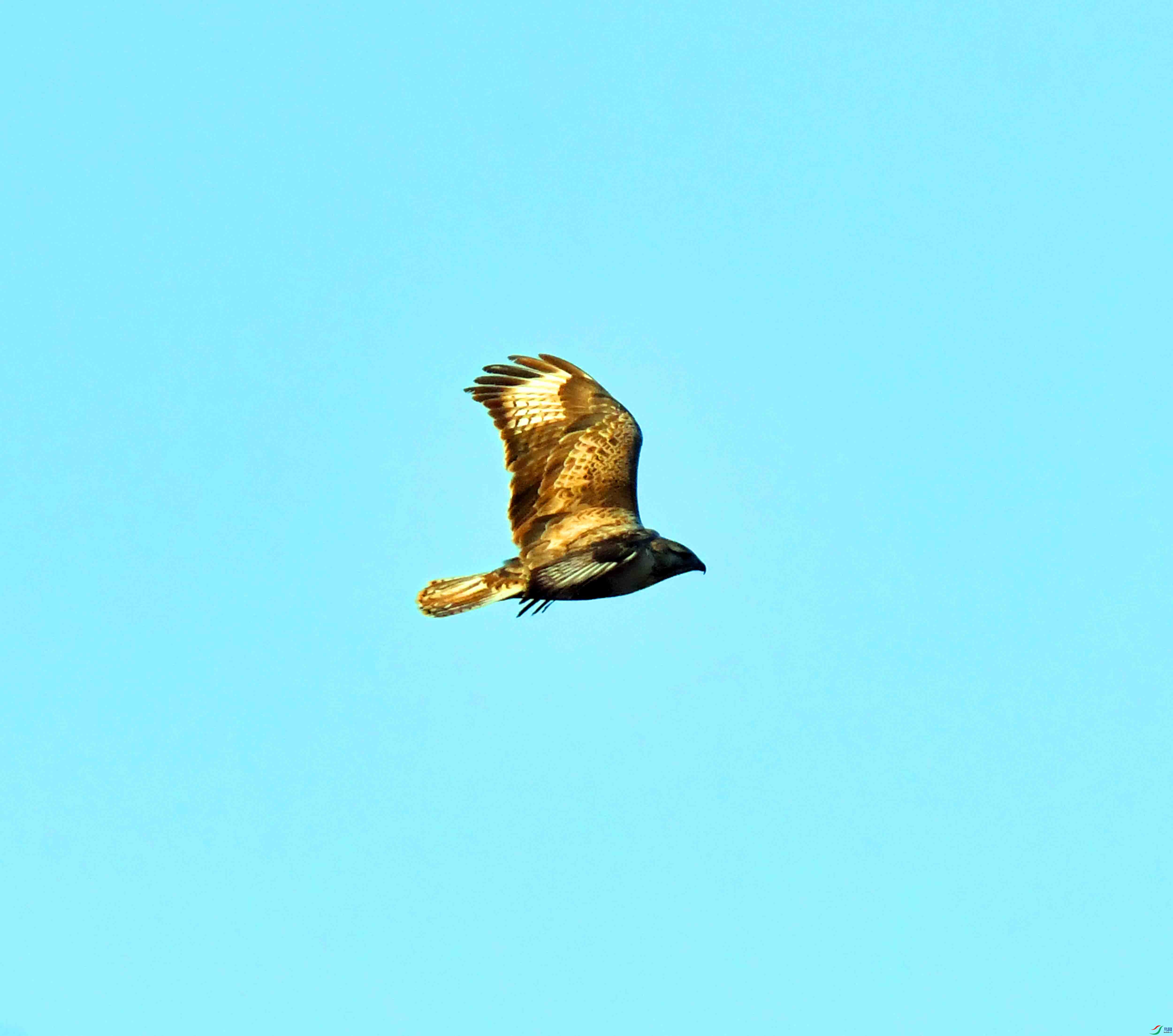 DSC_0376.JPG
