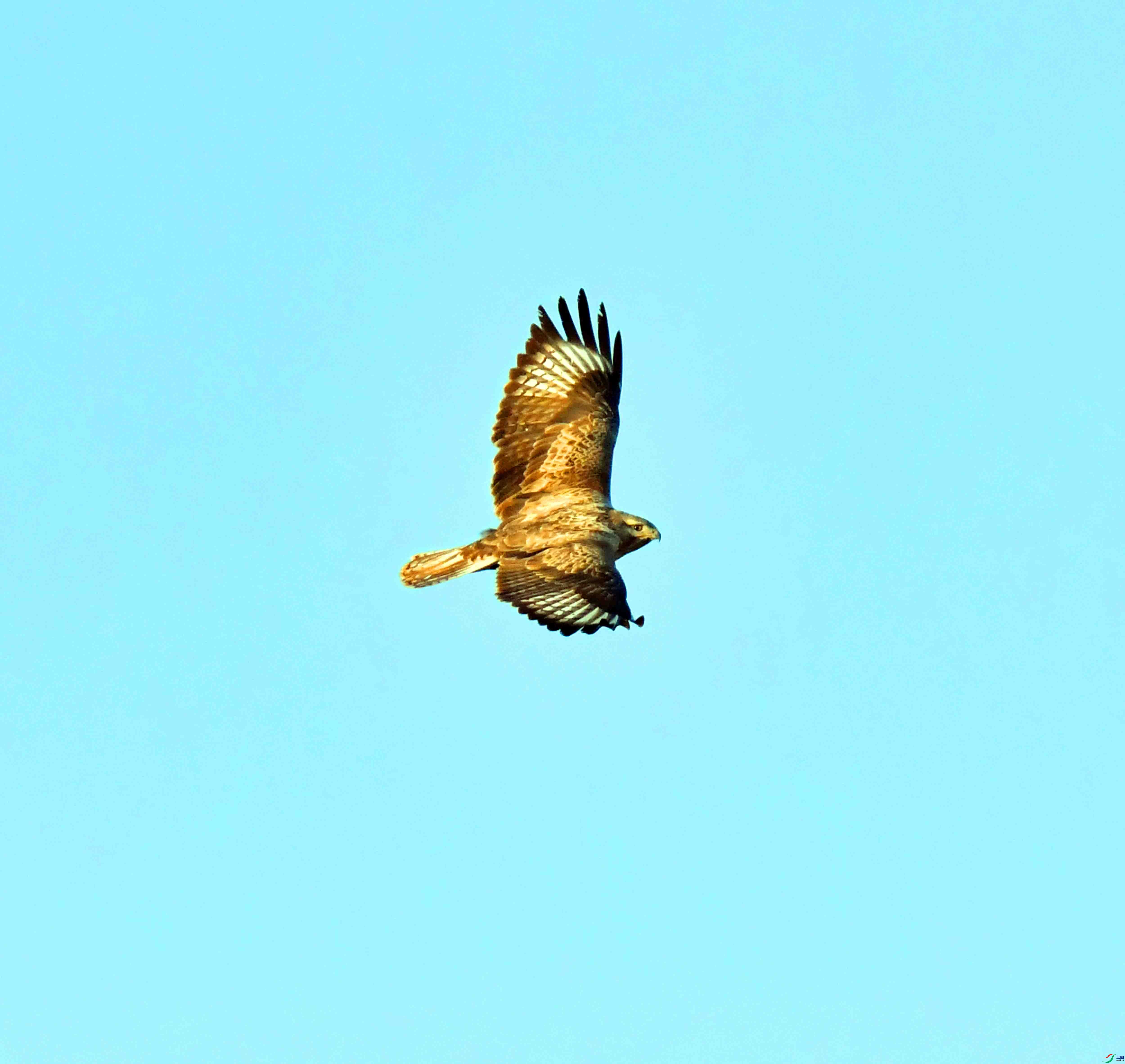 DSC_0377.JPG