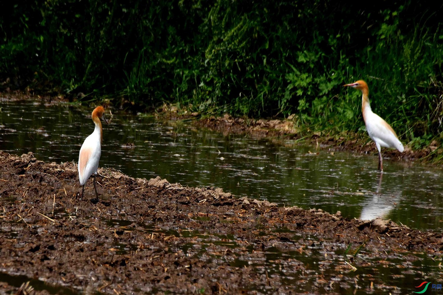 DSC_8044.JPG