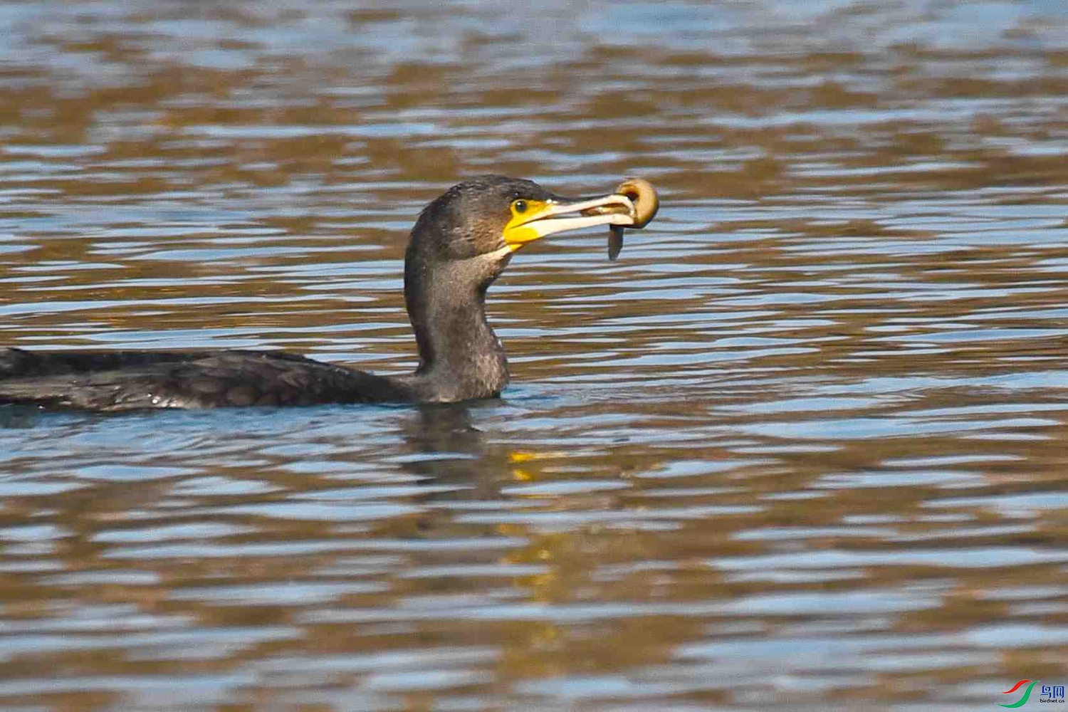 DSC_5591.JPG
