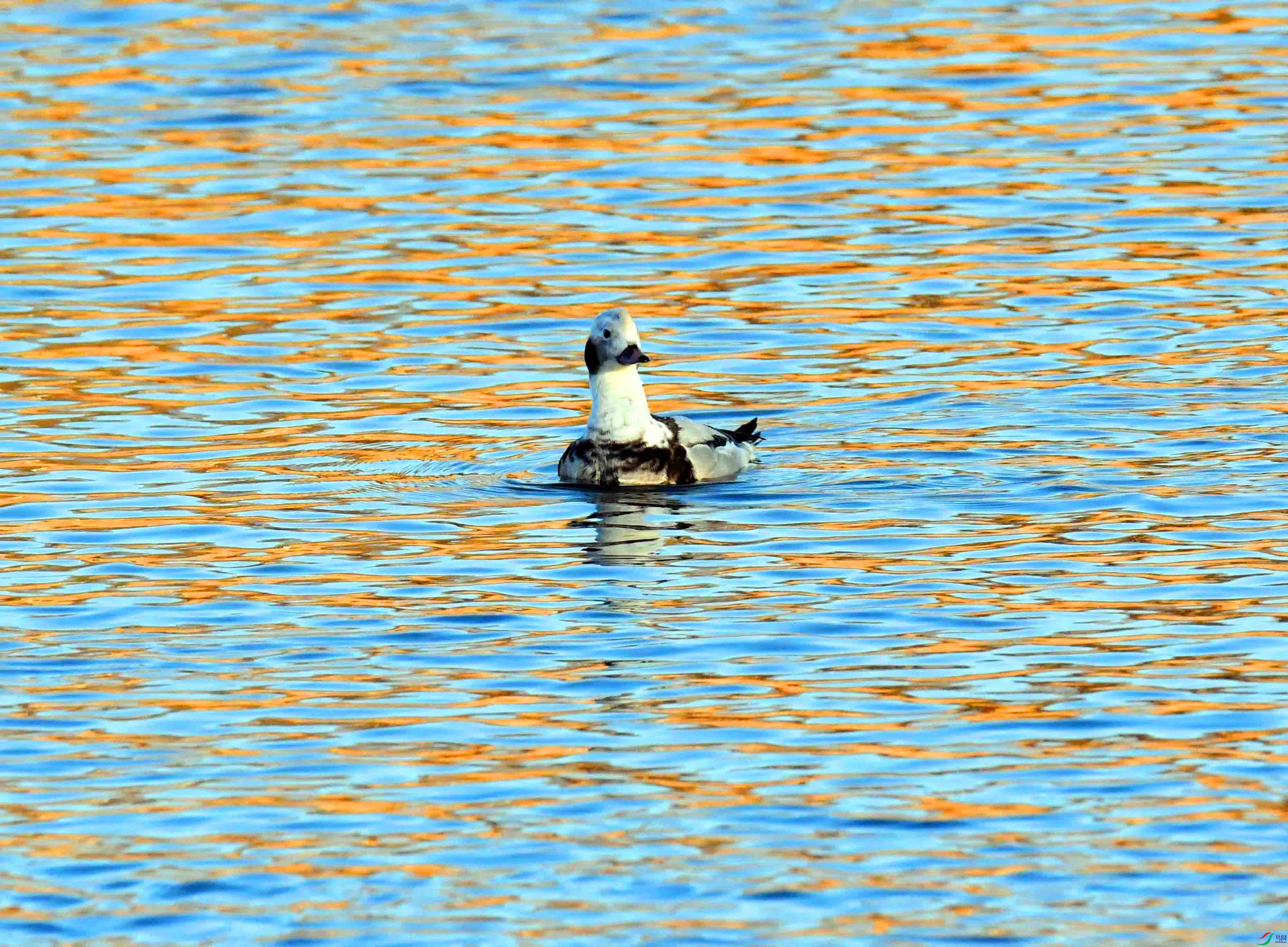 DSC_7298.JPG