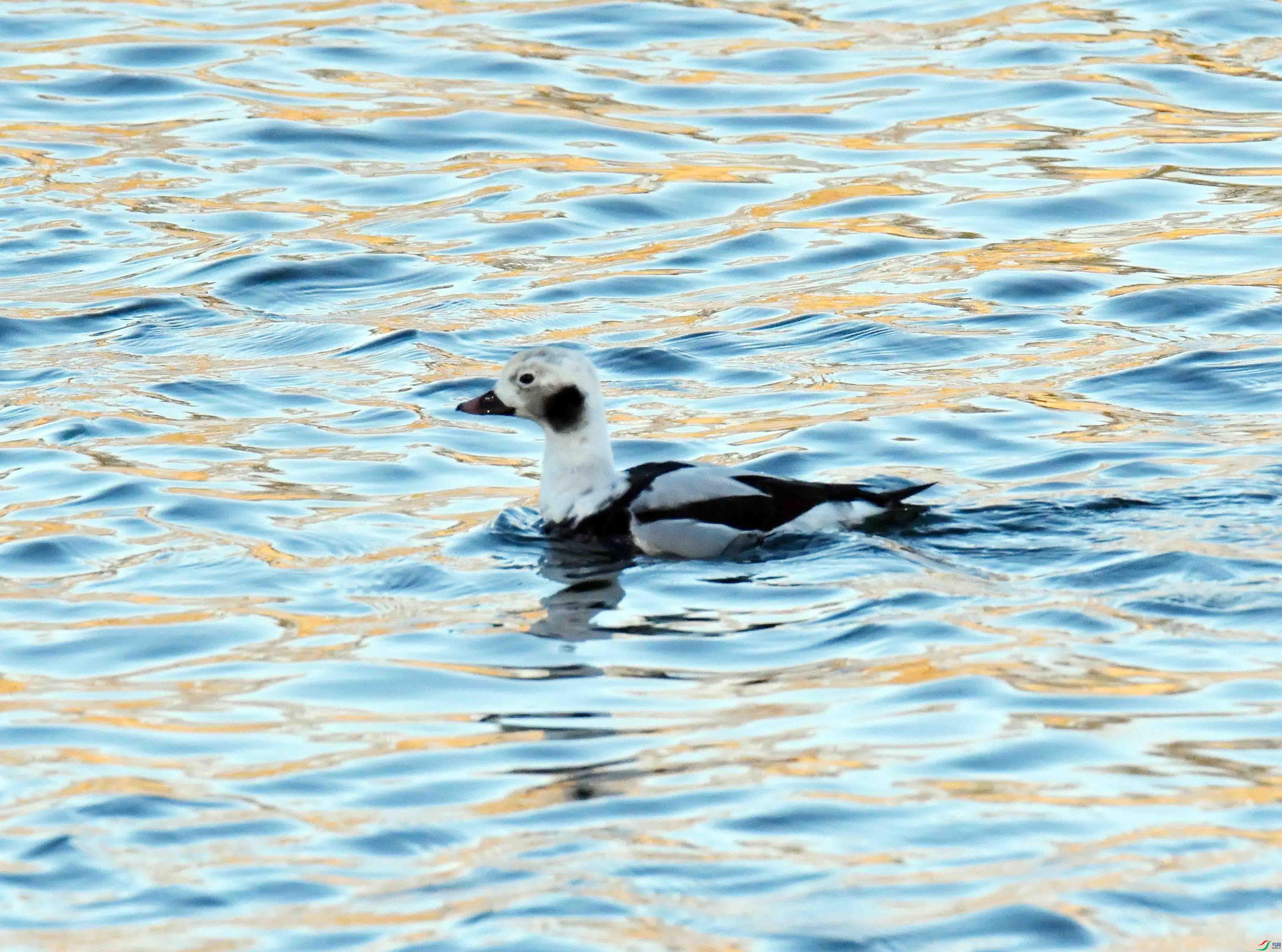 DSC_7311.JPG