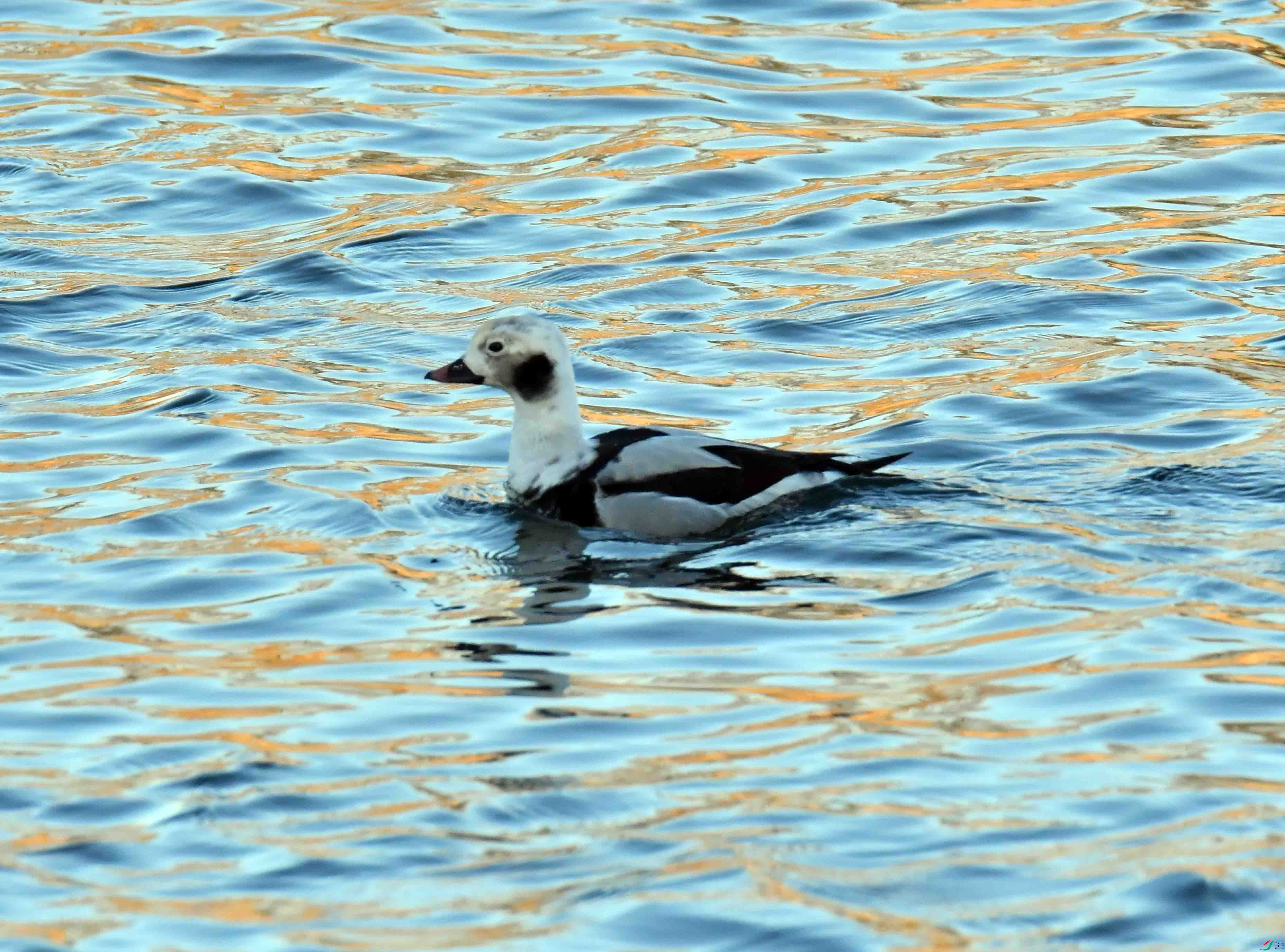 DSC_7312.JPG