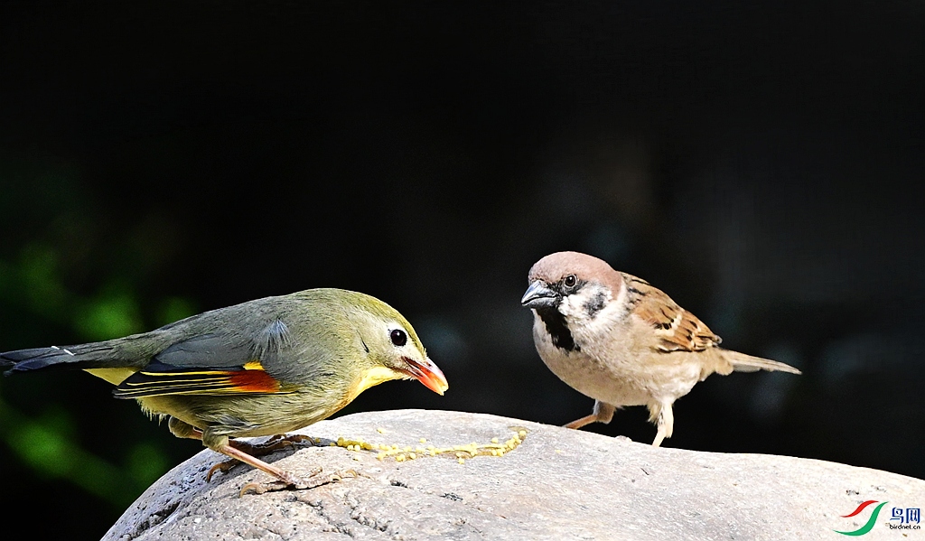 DSC_8473.JPG