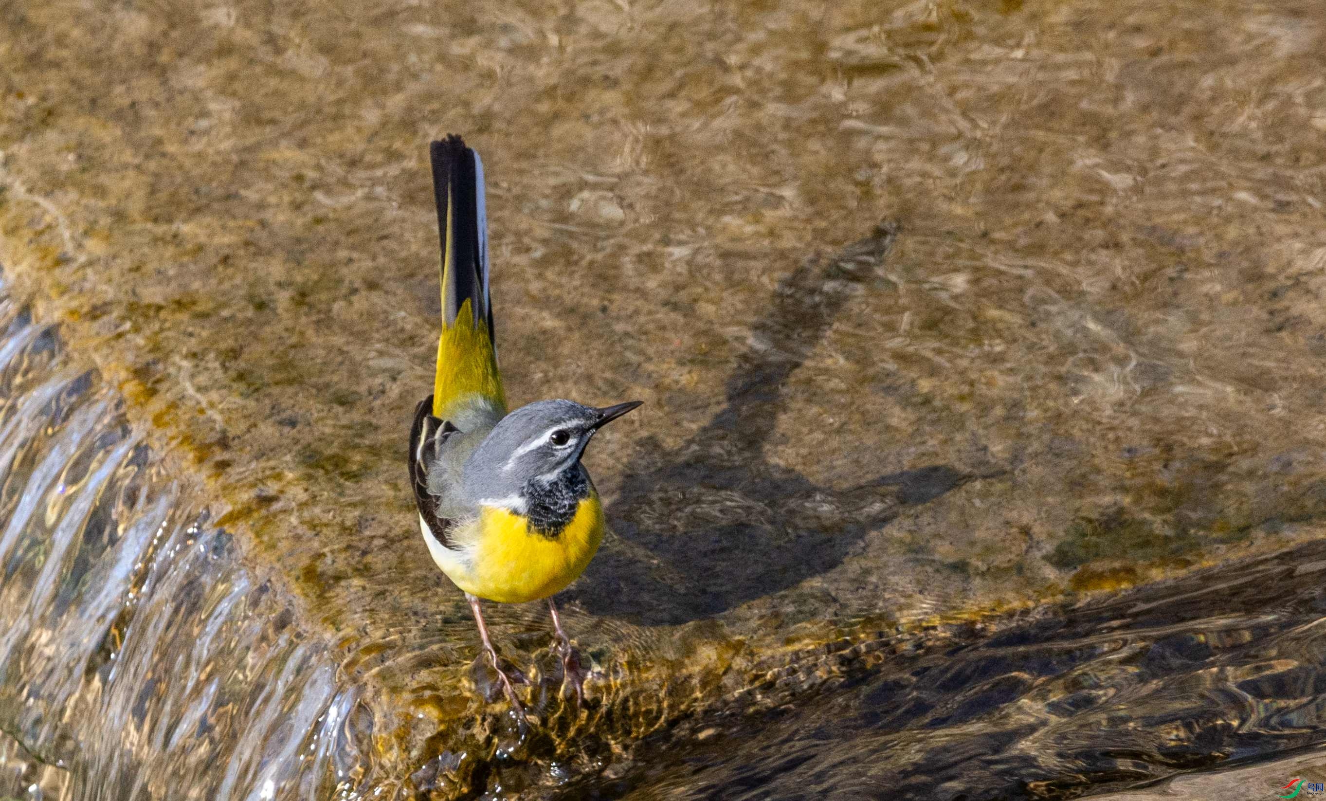 DSC_1950_����.jpg