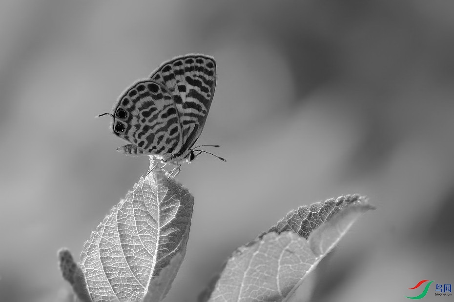 DSC_8039.JPG