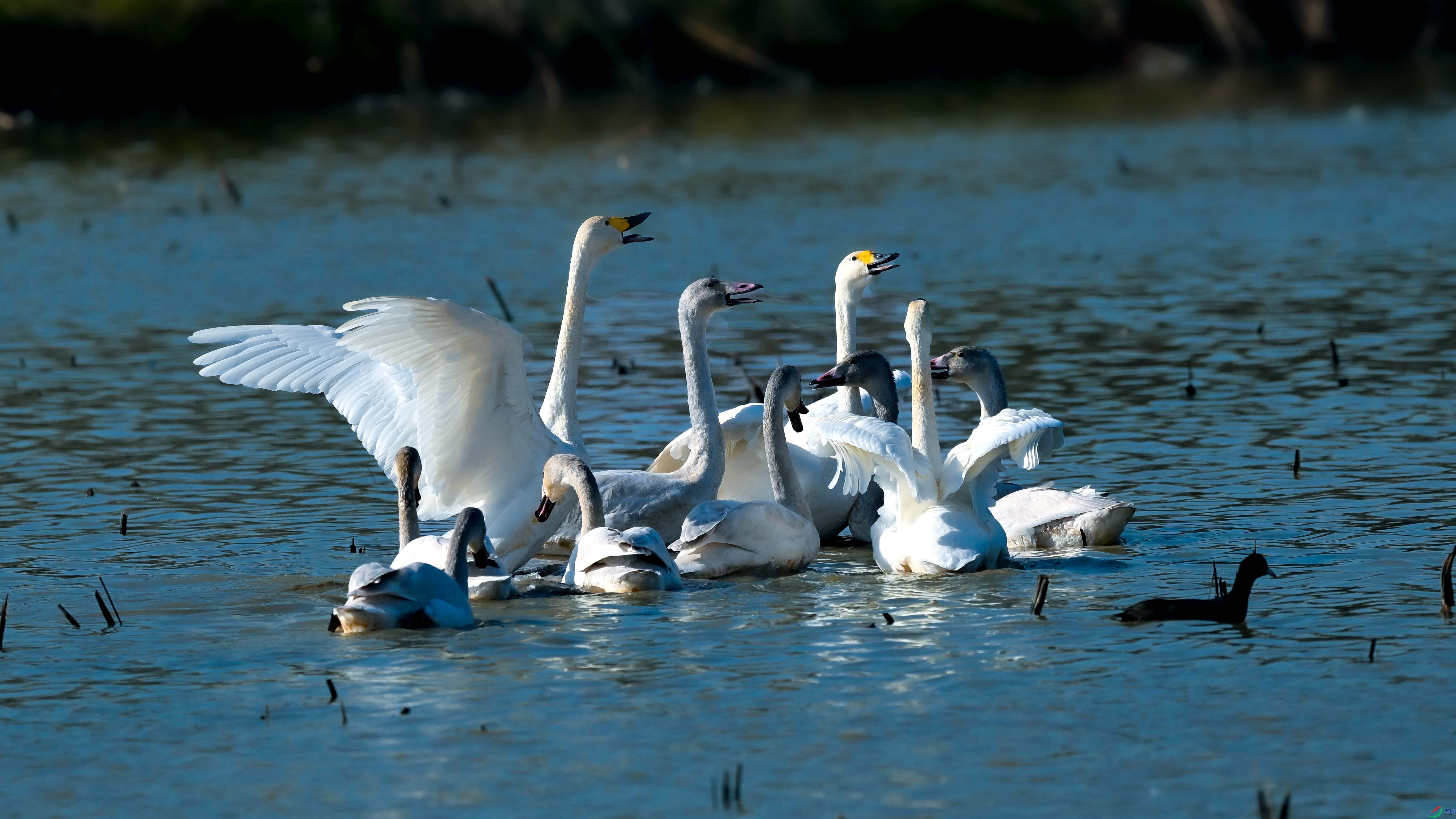 DSC_1630.jpg