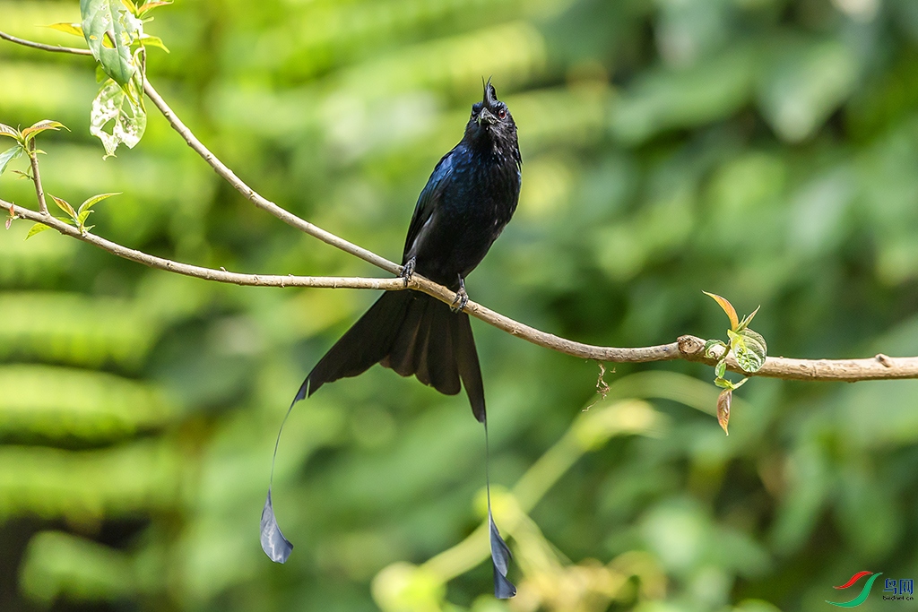 0F7A5896 ����.jpg