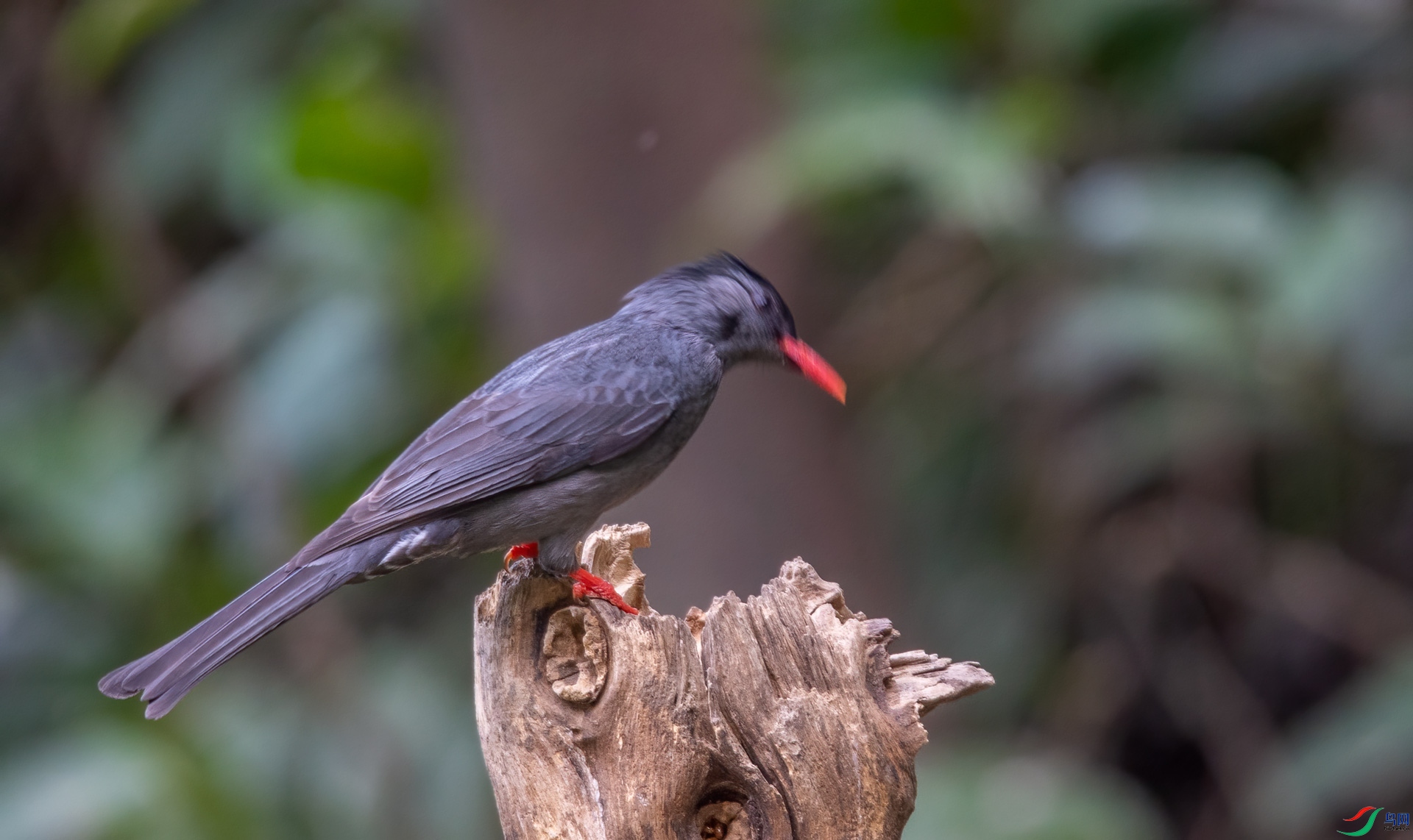 DSC_8167.jpg