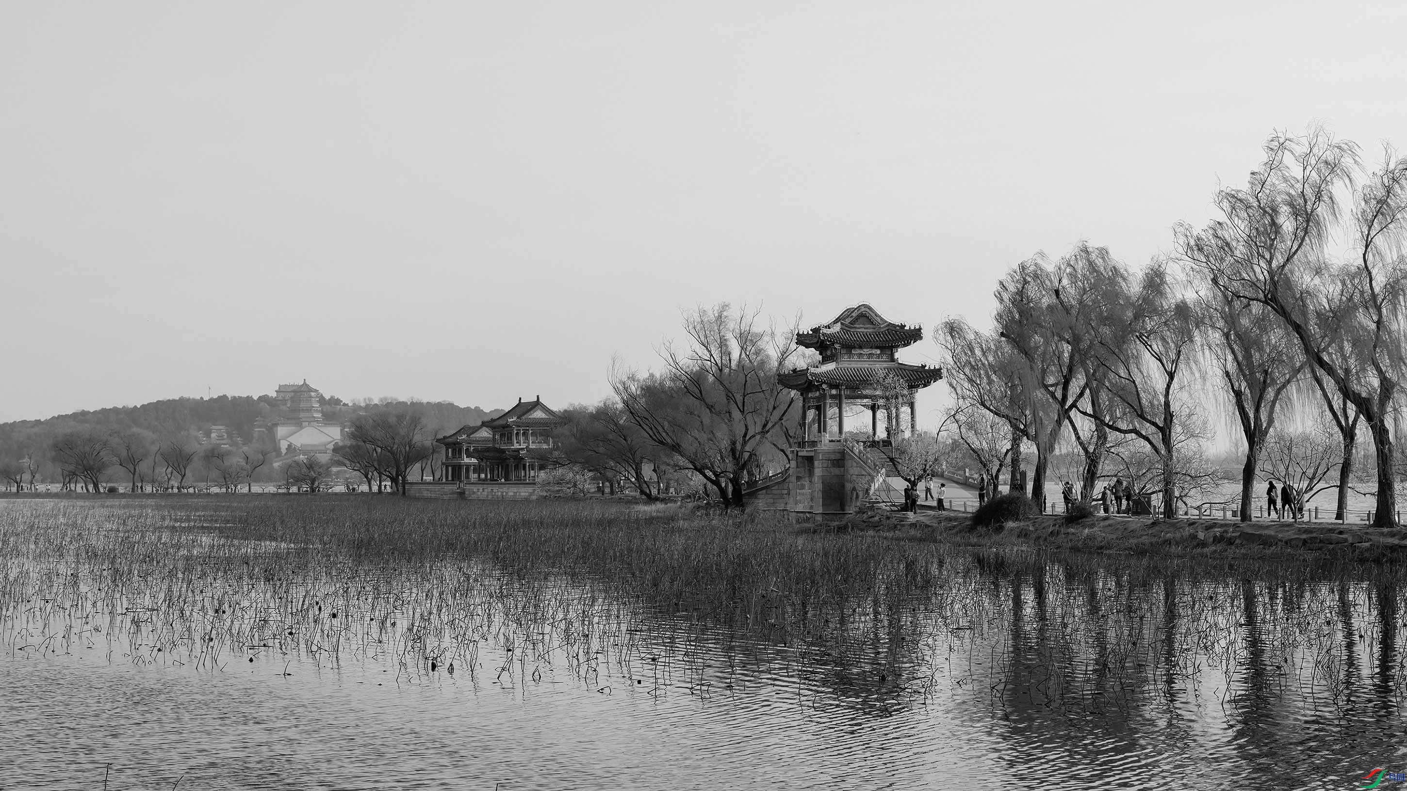 DSCF0316 ����.jpg