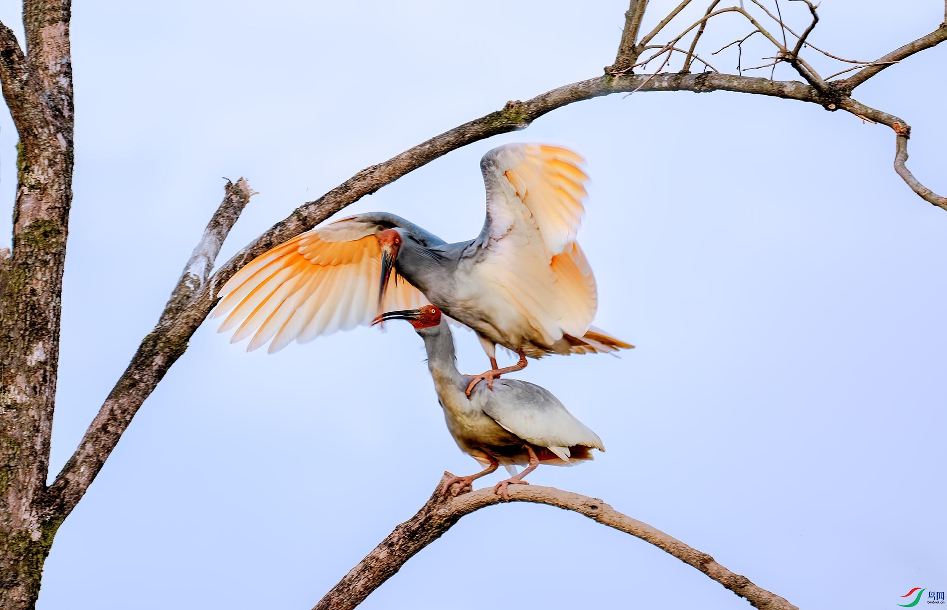 ����һ��������