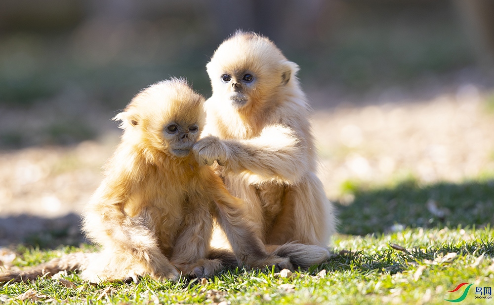 ��˿�� (7).jpg