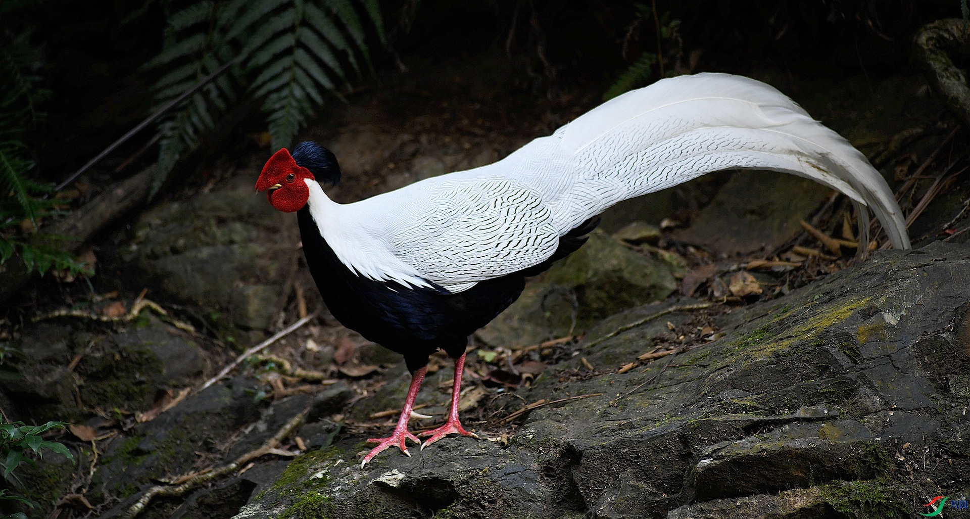 DSC_8482.jpg