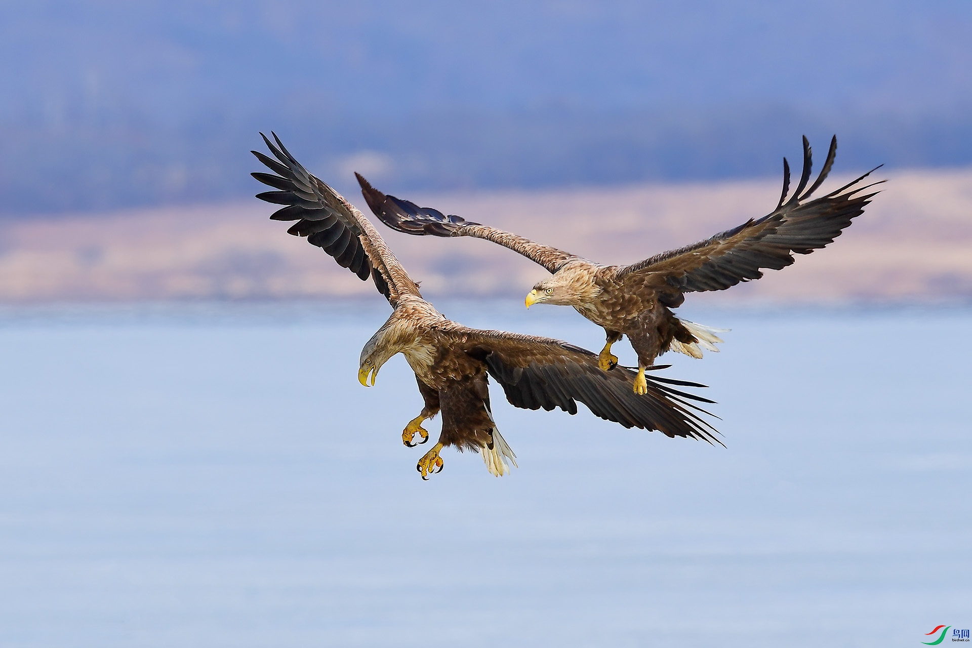 DSC_3570-1.jpg