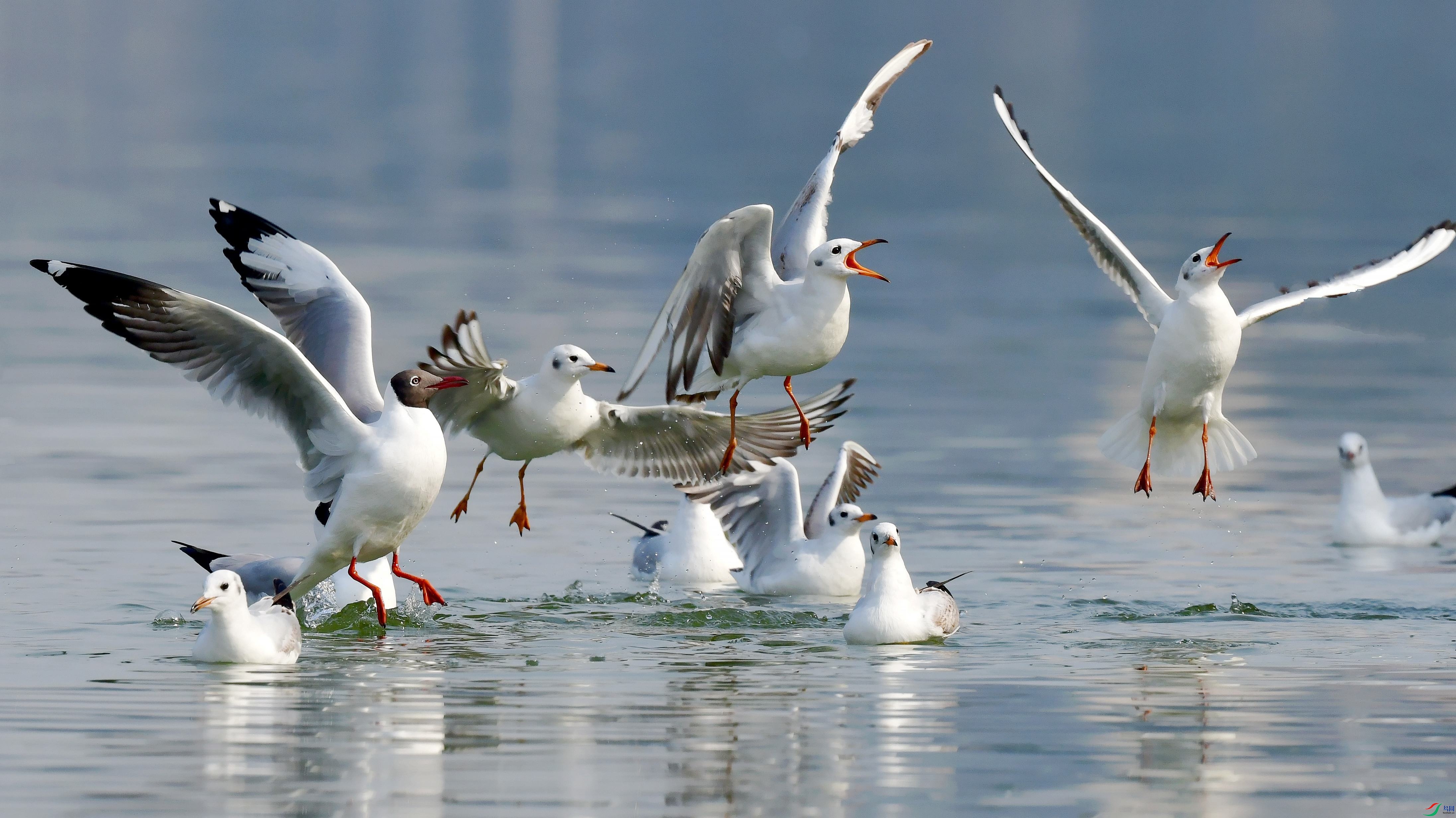 DSC_8635_conew2.jpg