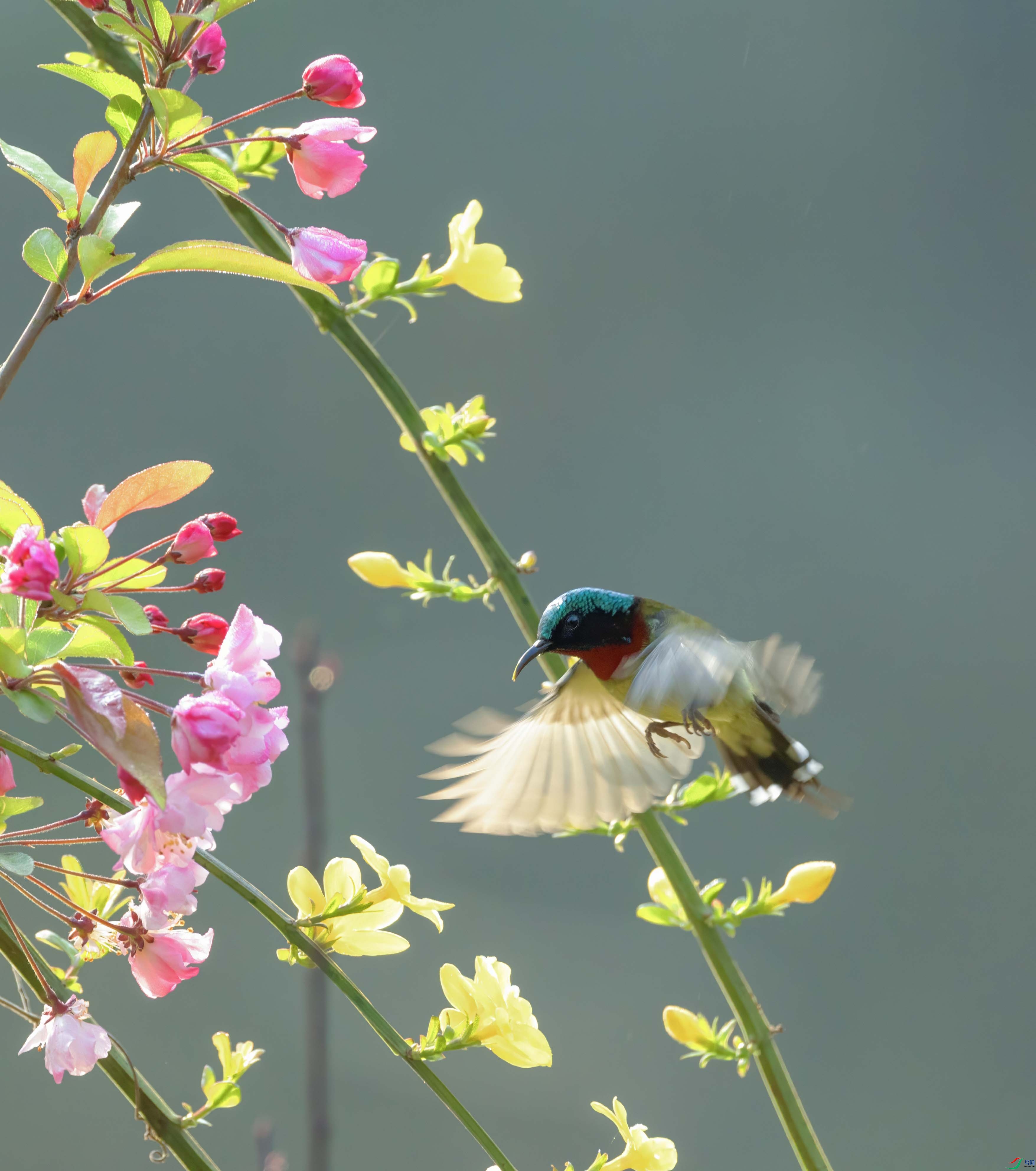 5N9A0099 ����.jpg